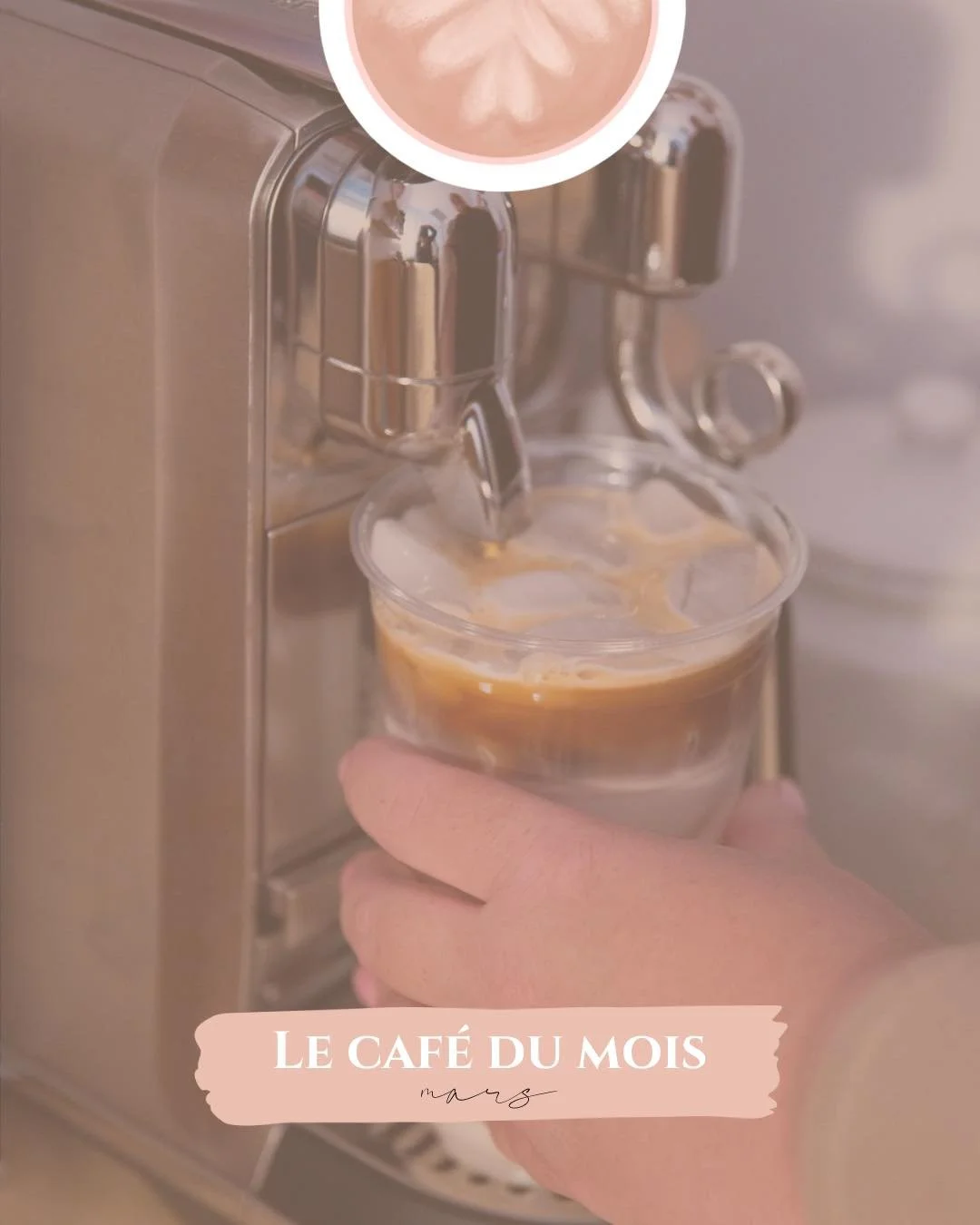 ✨𝐂𝐀𝐅𝐄́ 𝐃𝐔 𝐌𝐎𝐈𝐒✨

En mars, d&eacute;couvre le caf&eacute; 𝐁𝐢𝐬𝐜𝐮𝐢𝐭 𝐟𝐞𝐮𝐢𝐥𝐥𝐞 𝐝&rsquo;𝐞́𝐫𝐚𝐛𝐥𝐞 :
un d&eacute;licieux m&eacute;lange d&rsquo;𝐞́𝐫𝐚𝐛𝐥𝐞 𝐞𝐭 𝐝𝐞 𝐯𝐚𝐧𝐢𝐥𝐥𝐞, inspir&eacute; du temps des sucres. 🍁

&Agra