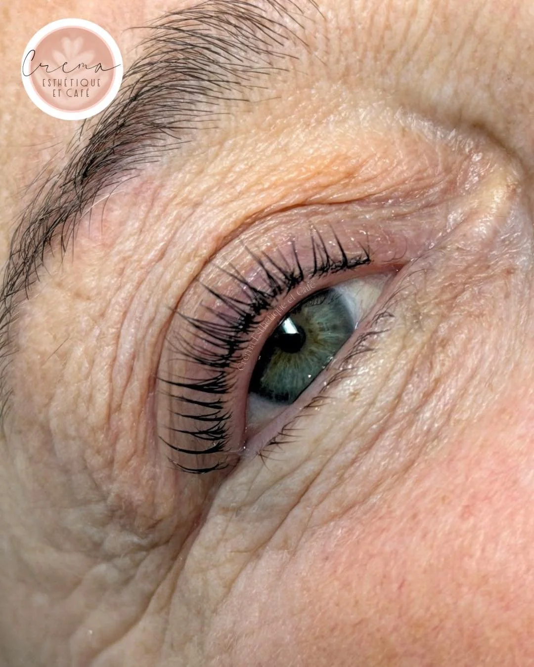 Un effet mascara d&egrave;s le r&eacute;veil avec le 𝐫𝐞𝐡𝐚𝐮𝐬𝐬𝐞𝐦𝐞𝐧𝐭 𝐝𝐞 𝐜𝐢𝐥𝐬 (𝐥𝐚𝐬𝐡𝐥𝐢𝐟𝐭). 🤩

R&eacute;serve d&egrave;s maintenant :
✨ En message priv&eacute; ici m&ecirc;me
✨ En t&eacute;l&eacute;phonant au (450) 750-8739

D&ea