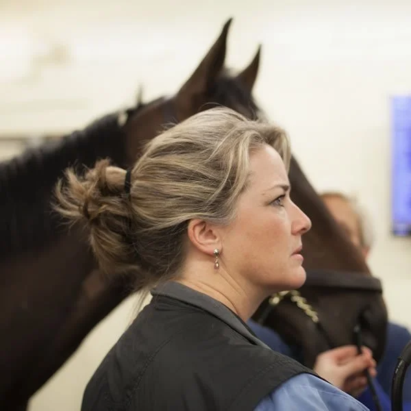 Dr. Patty Hogan: equine surgeon
