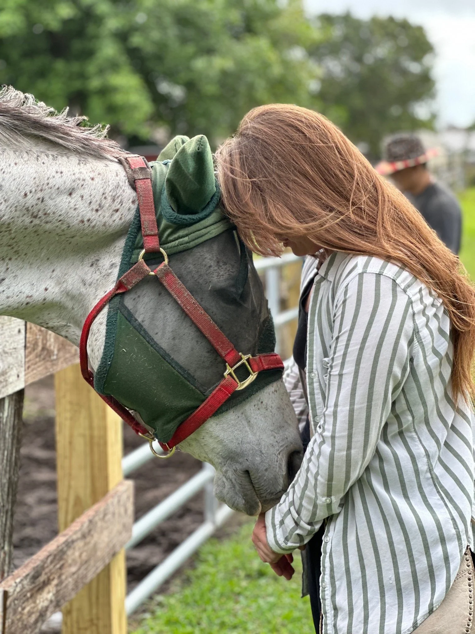GREY GLORY retired after bad disp condylar aftercare.jpeg
