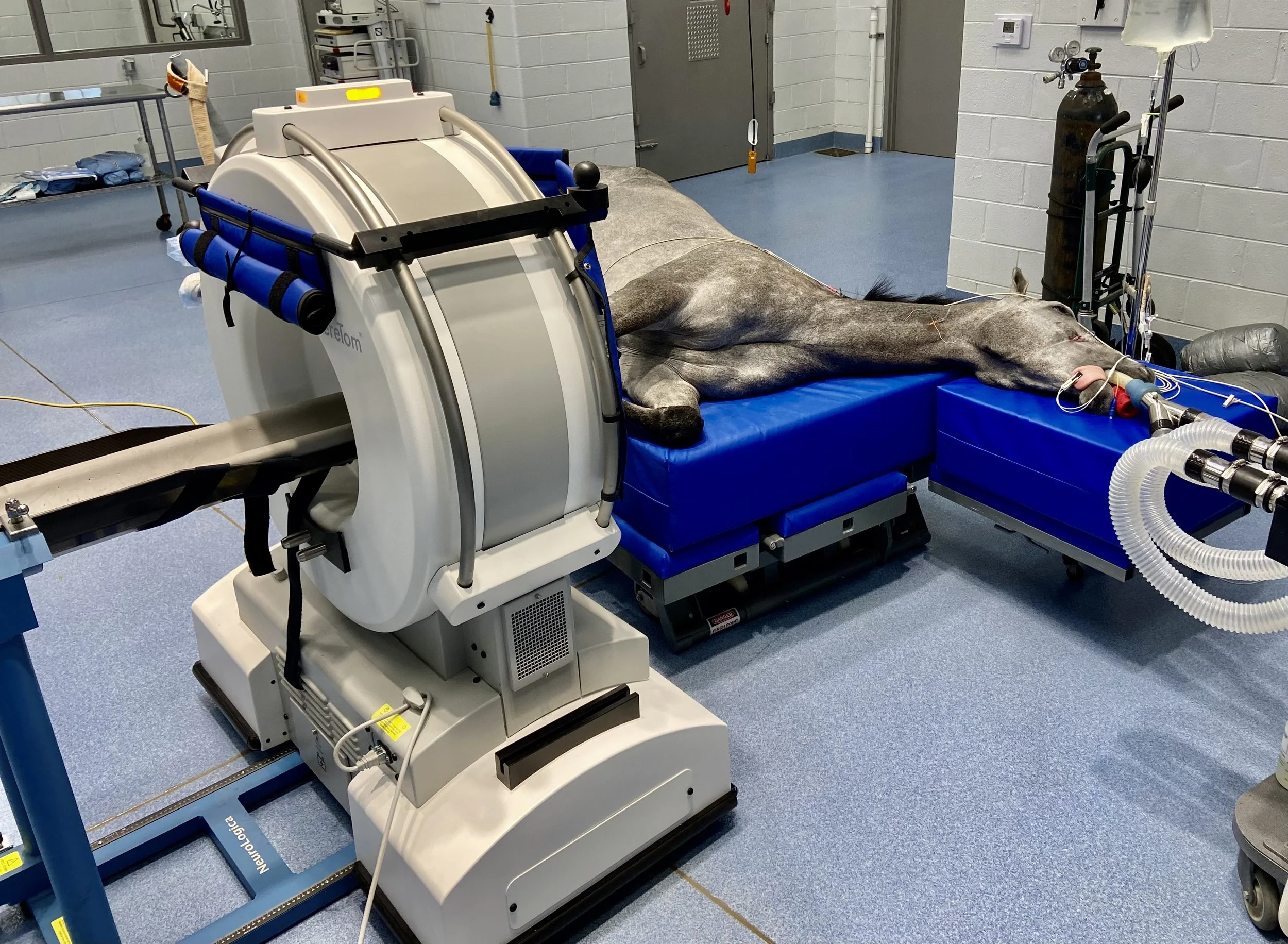 CT in progress PHF.jpeg