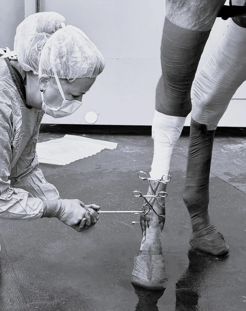 standing condylar drilling displaced  .jpeg