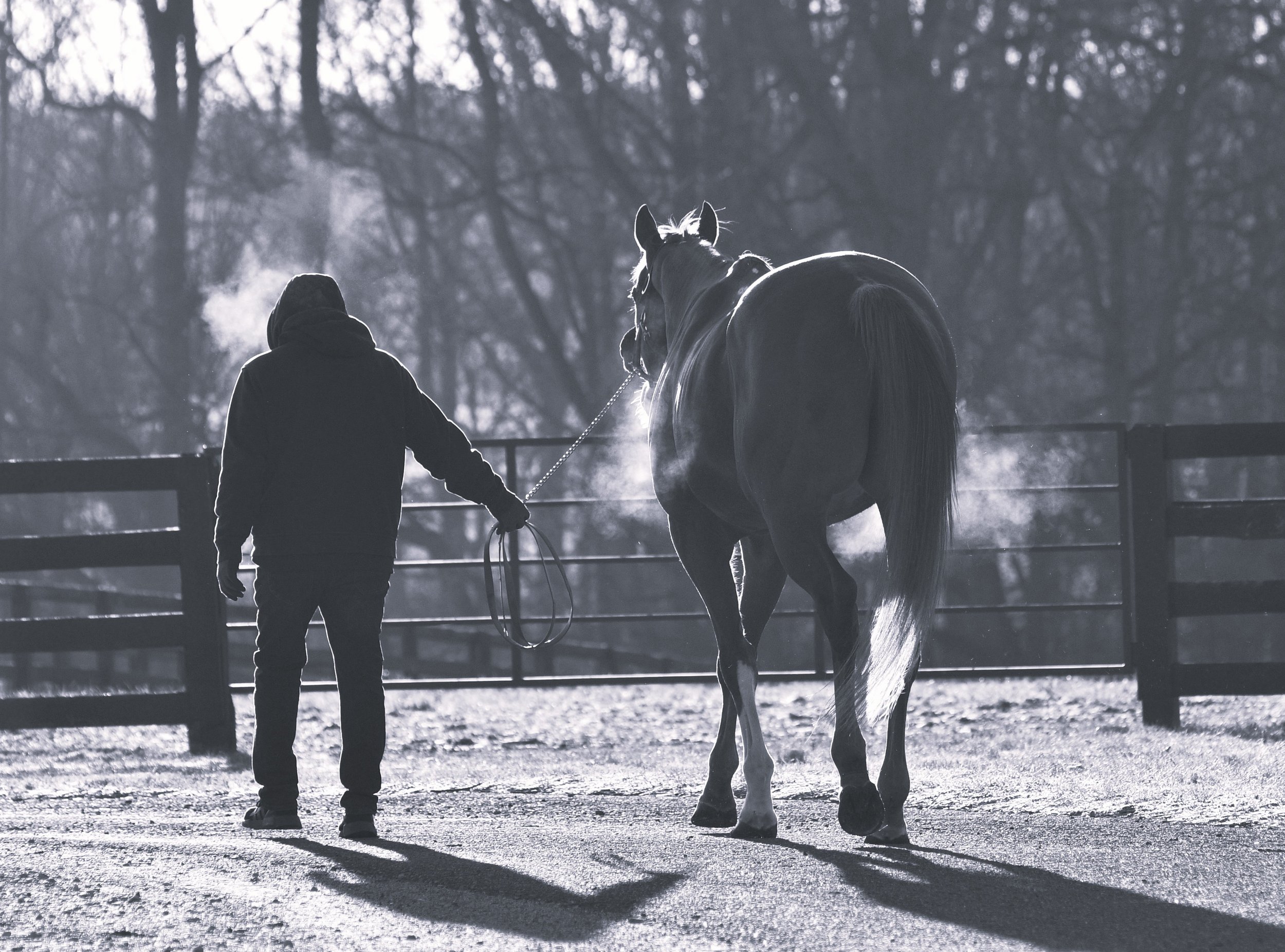 Val turning out JAN 2026     .JPG