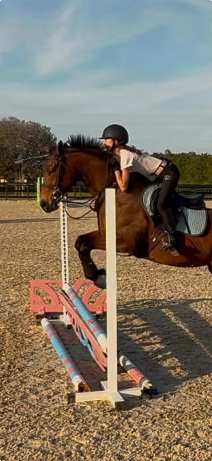 WAXING MOON OTTB 2nd career 2025.jpg