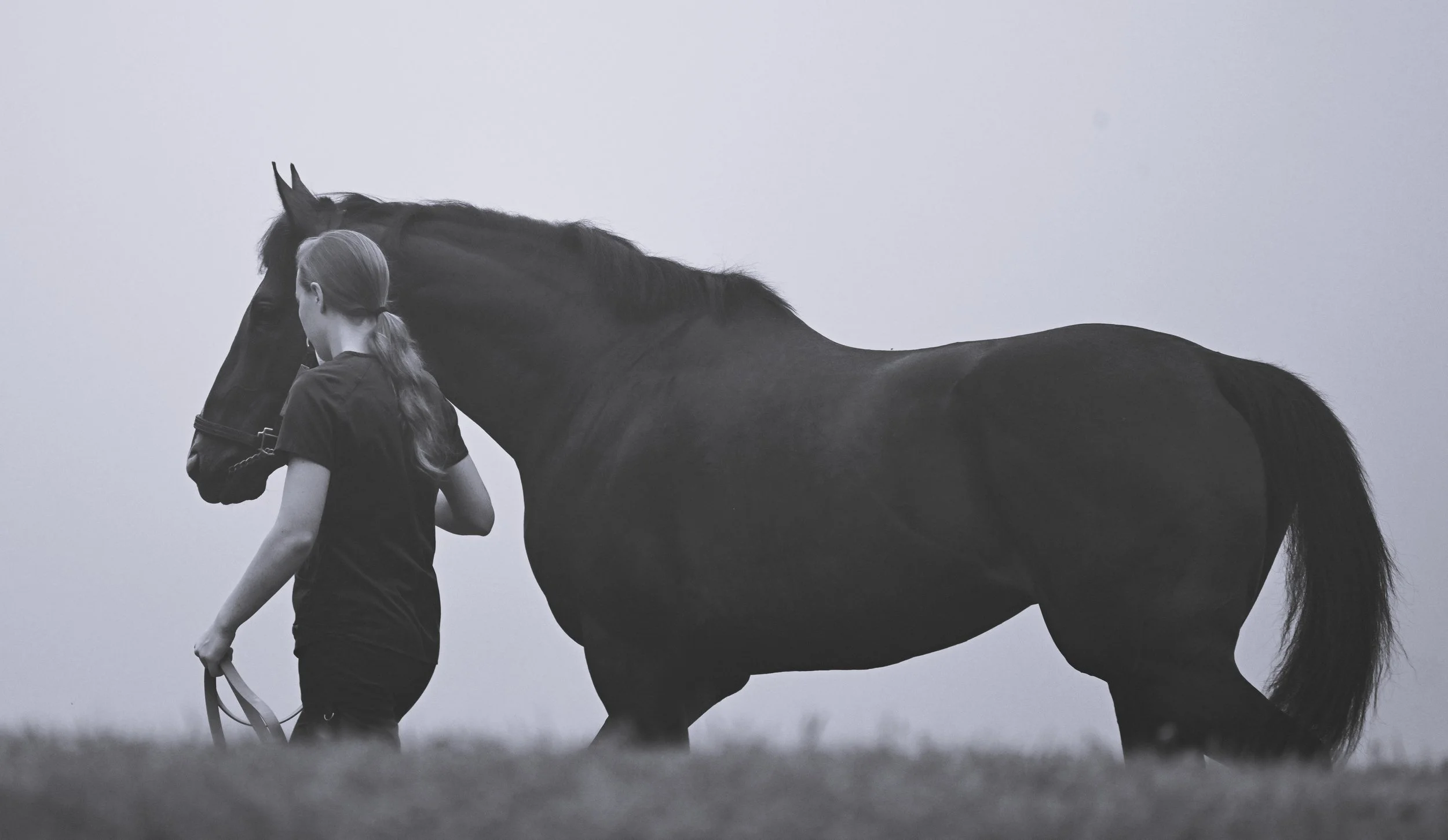 Anna in fog AUG 2025.JPG