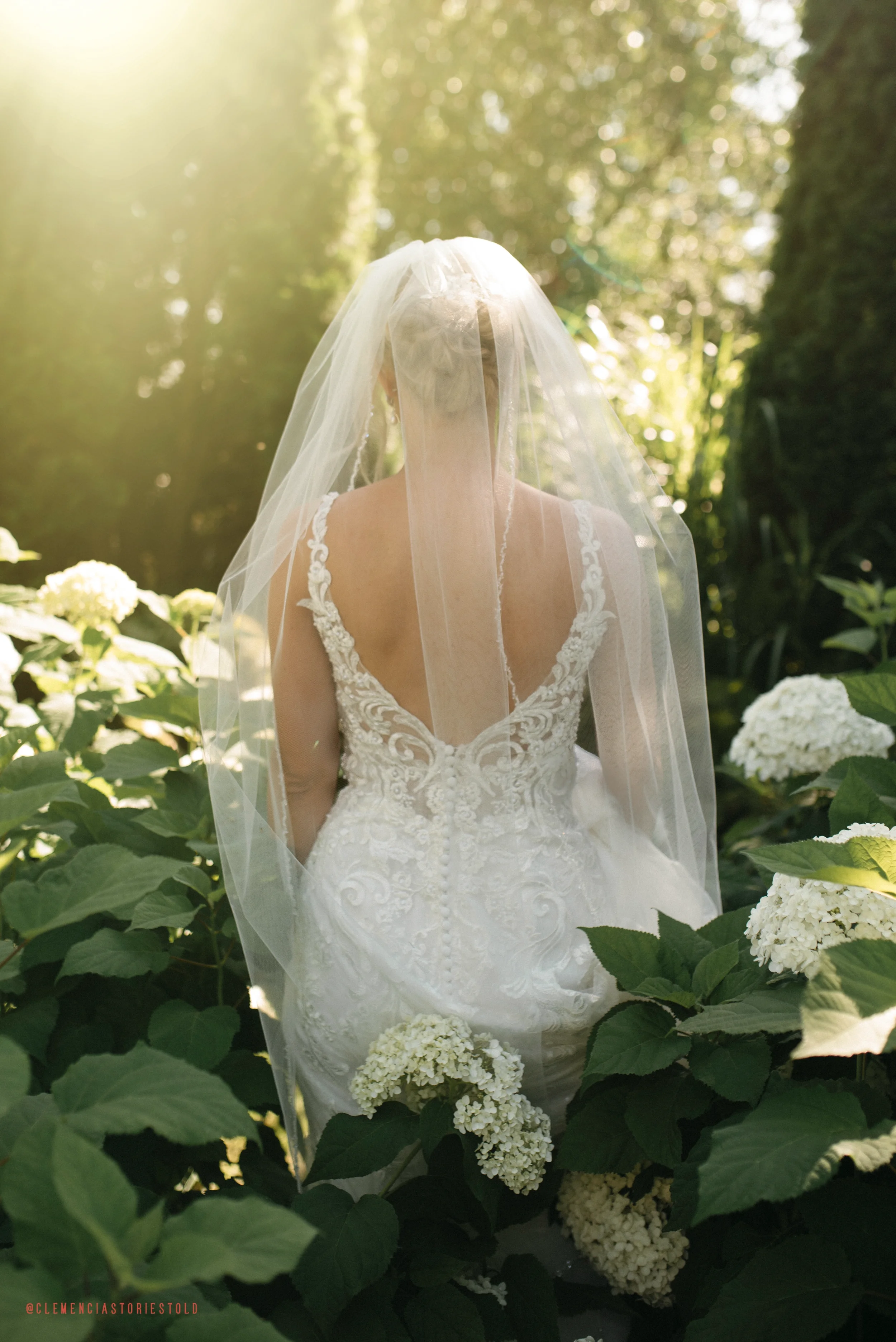 Bride in a white wedding gown and veil standing among green plants and white flowers, with sunlight filtering through trees in the background.