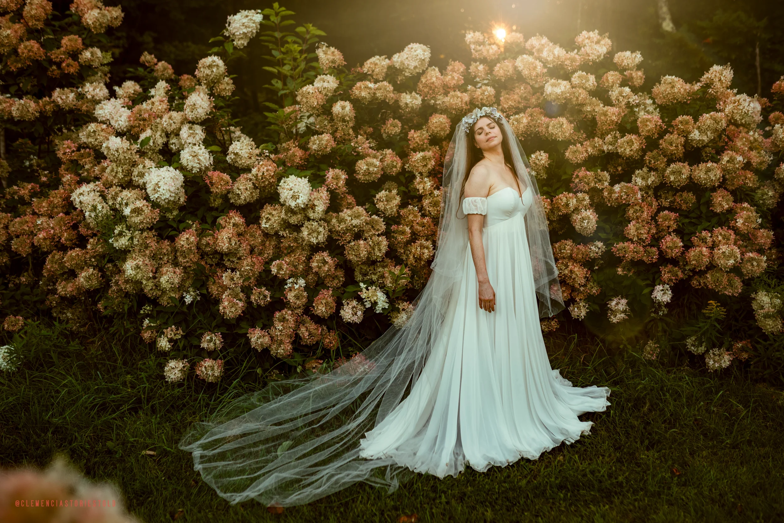 A woman in a white wedding dress with an off-the-shoulder design and a long veil stands among pink and white hydrangea flowers in the sunlight.