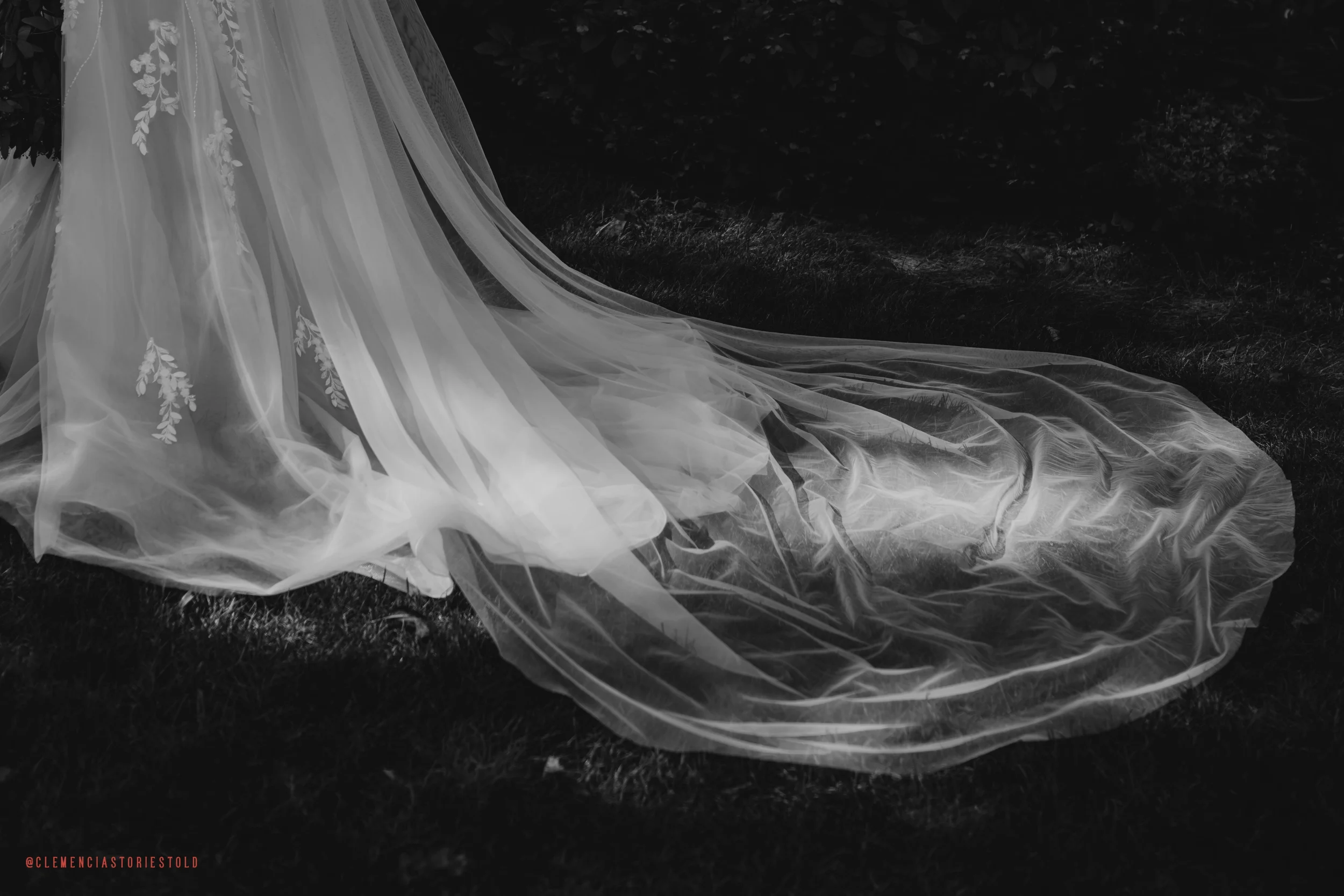 A black and white photo of a wedding dress with a long, flowing train lying on grass, with detailed embroidery on the fabric.