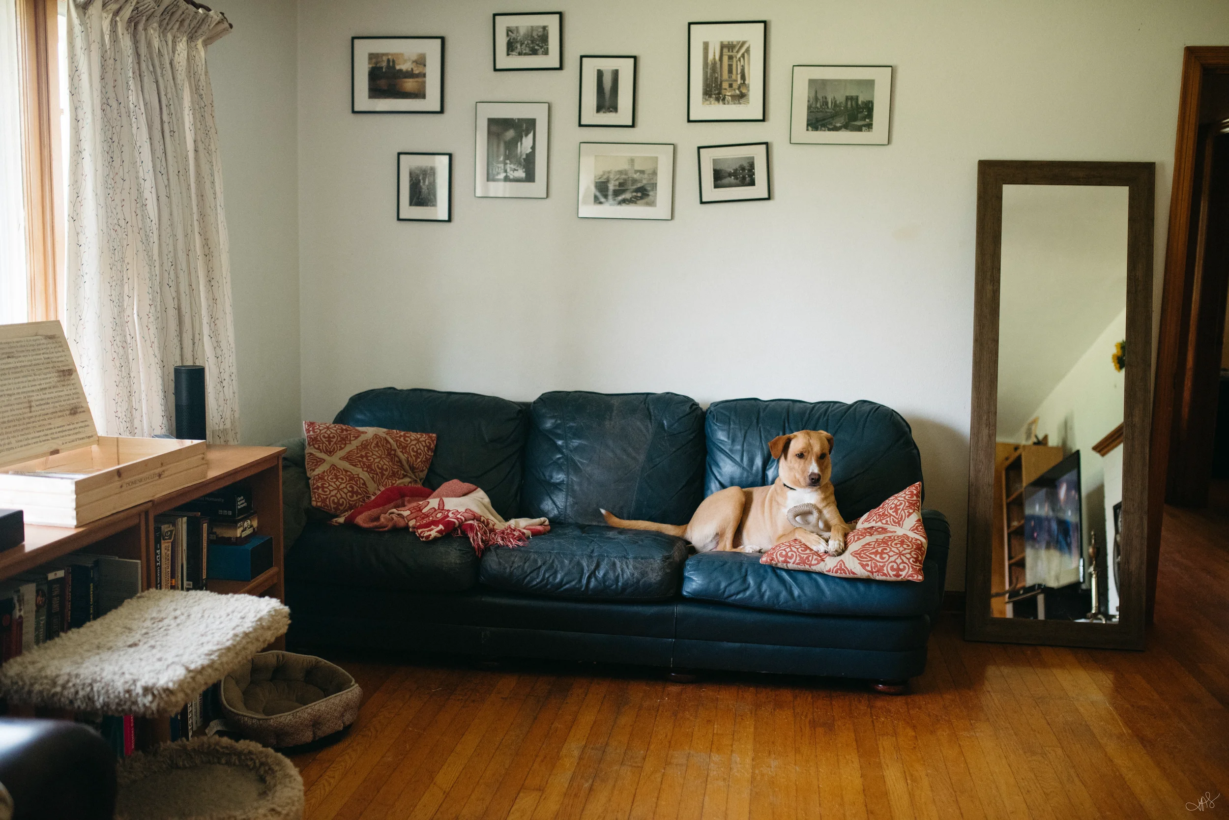 Jess & Bill Engagement_Lexington, VA_Photo by Tricia Suriani-15.webp