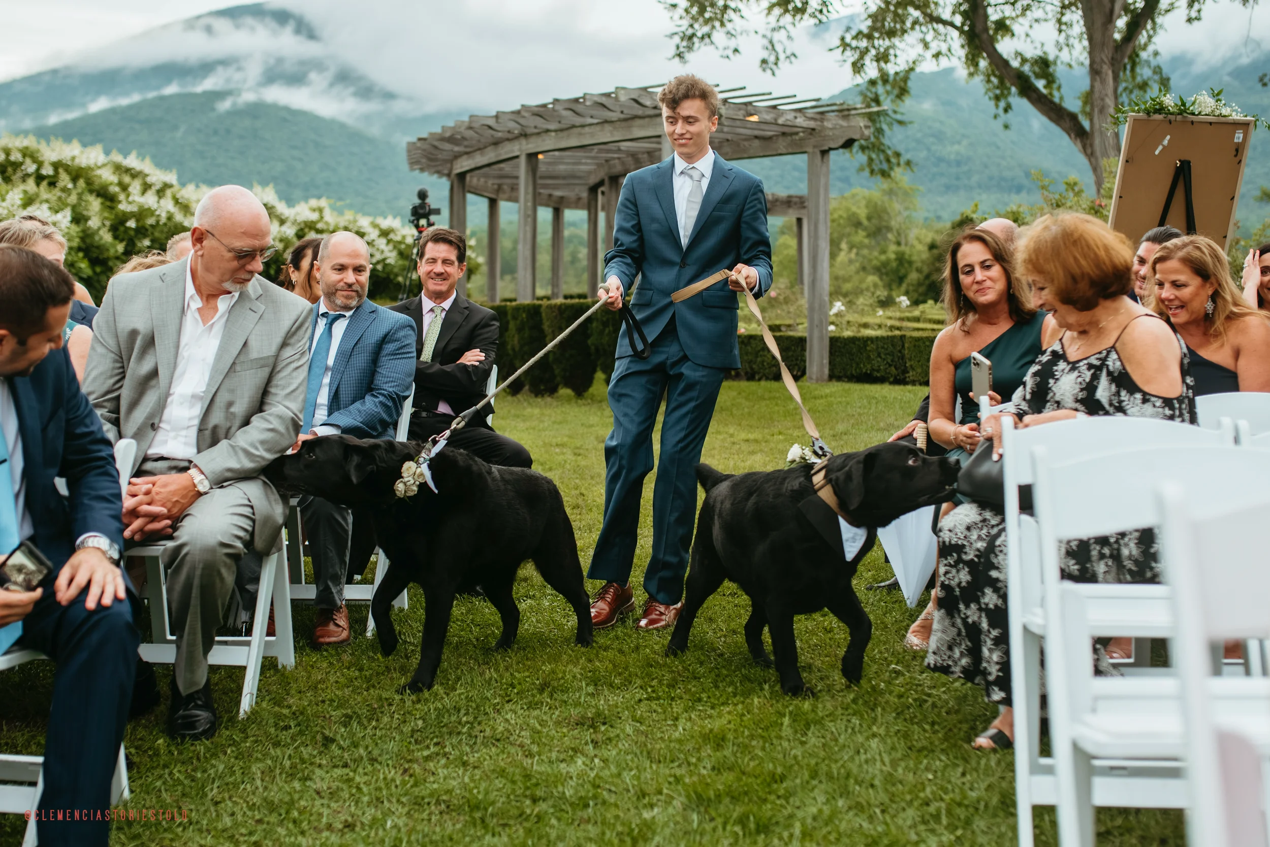 Wedding ceremony outdoors with guests seated on white chairs, a young man in a blue suit holding leashes of two black dogs dressed in bow ties, mountains and cloudy sky in background.