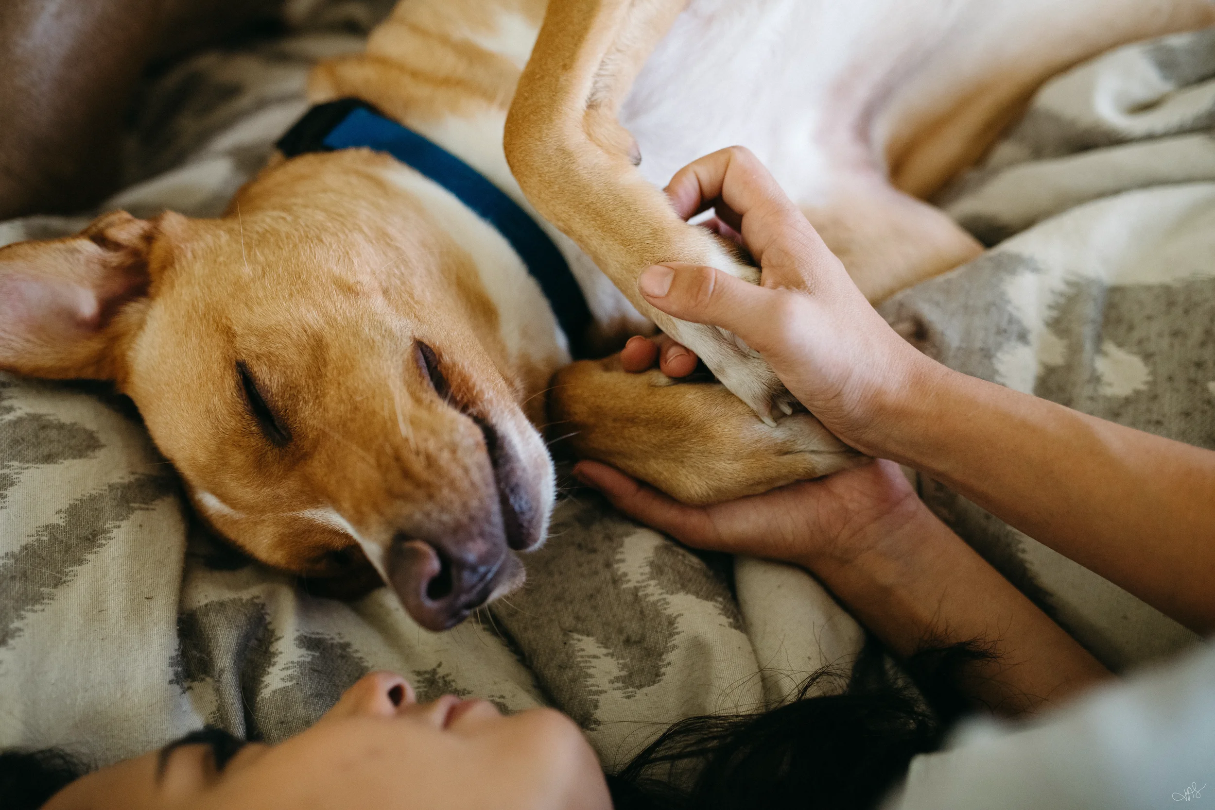 Jess & Bill Engagement_Lexington, VA_Photo by Tricia Suriani-13.webp