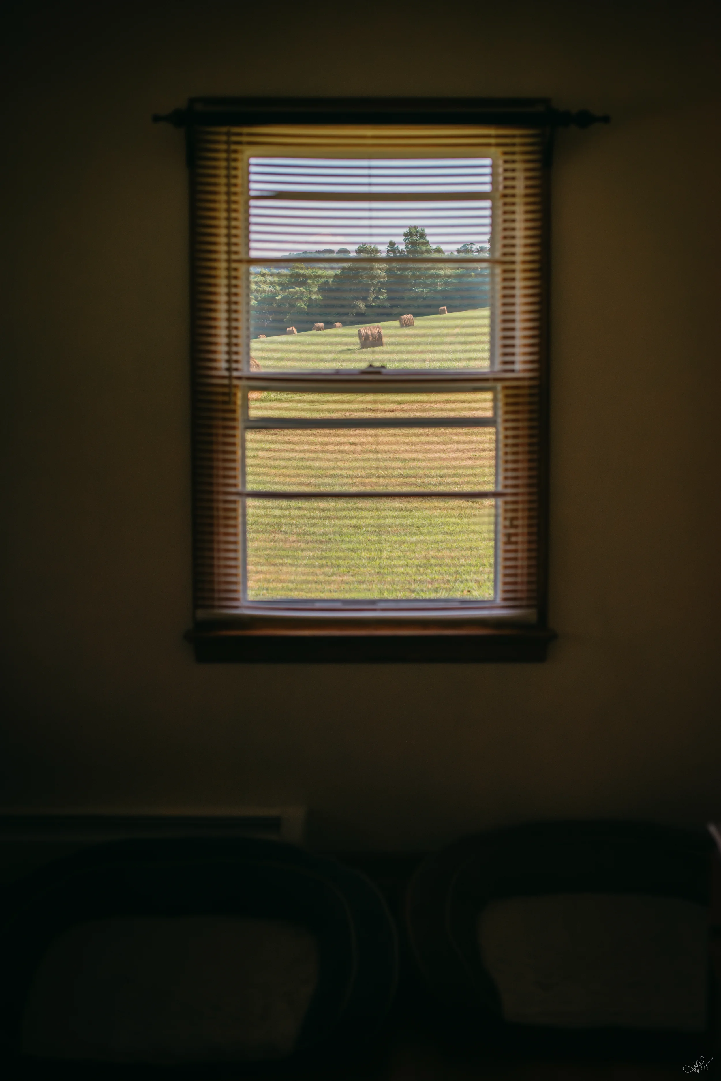 Jess & Bill Engagement_Lexington, VA_Photo by Tricia Suriani-21.webp