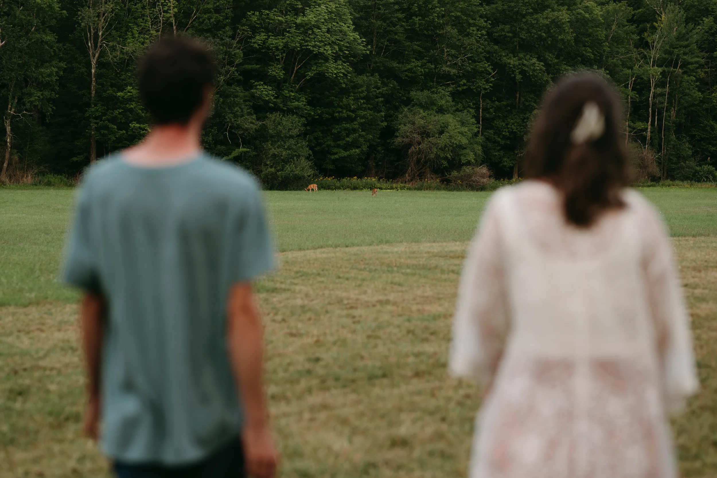Oliva & Tom Engagement_Guilford, Vermont_Photo by Tricia Suriani-41.webp