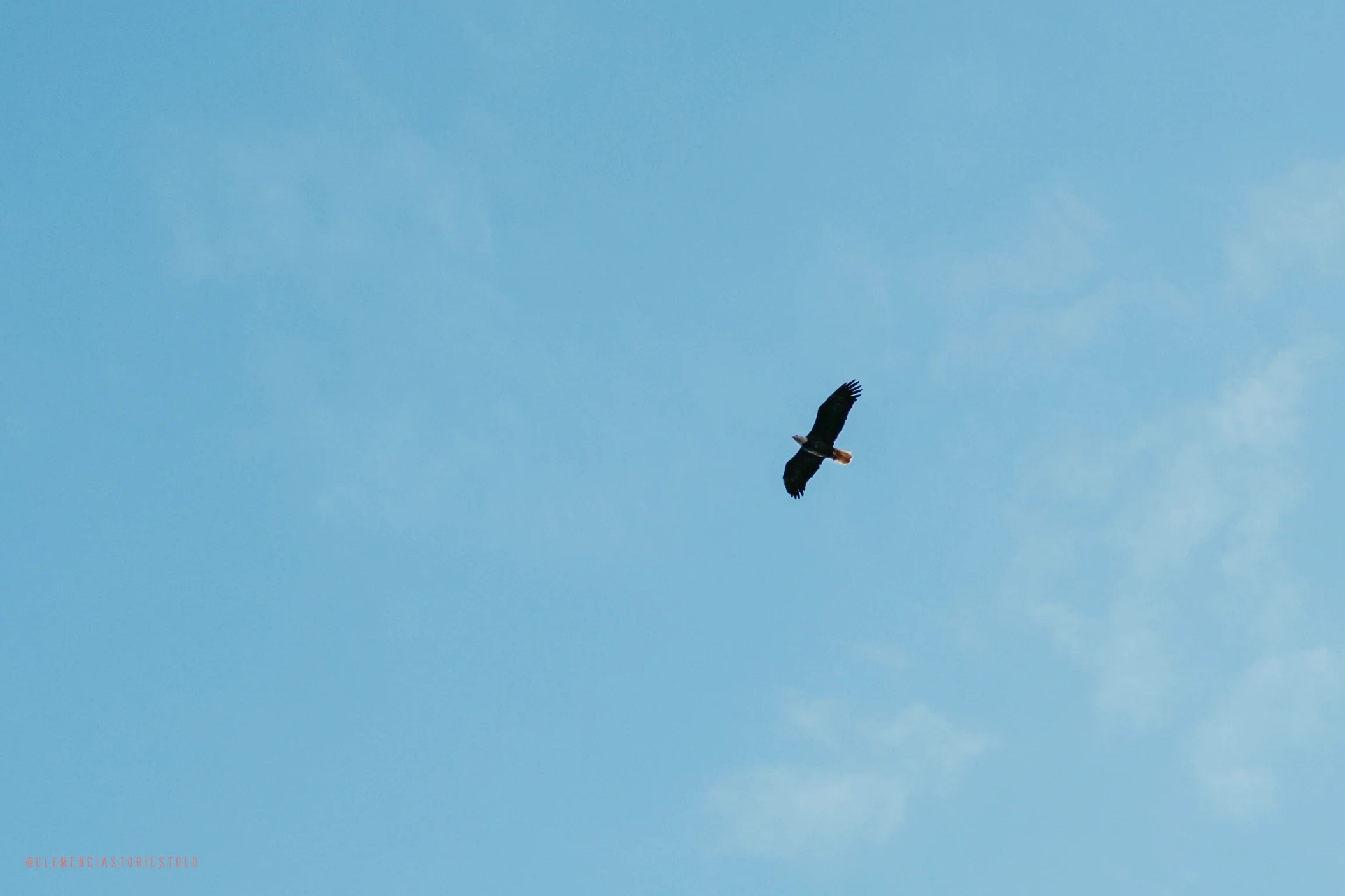 Charlie & Taylor Wedding_Henry House Vermont_Photo by Tricia Suriani-163.webp