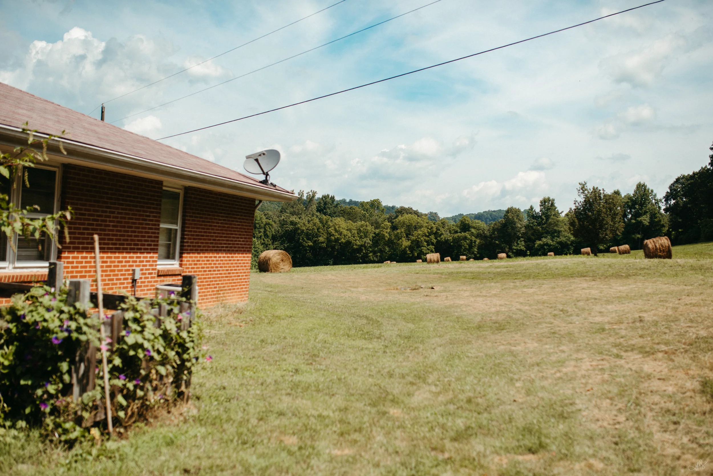 Jess & Bill Engagement_Lexington, VA_Photo by Tricia Suriani-34.webp
