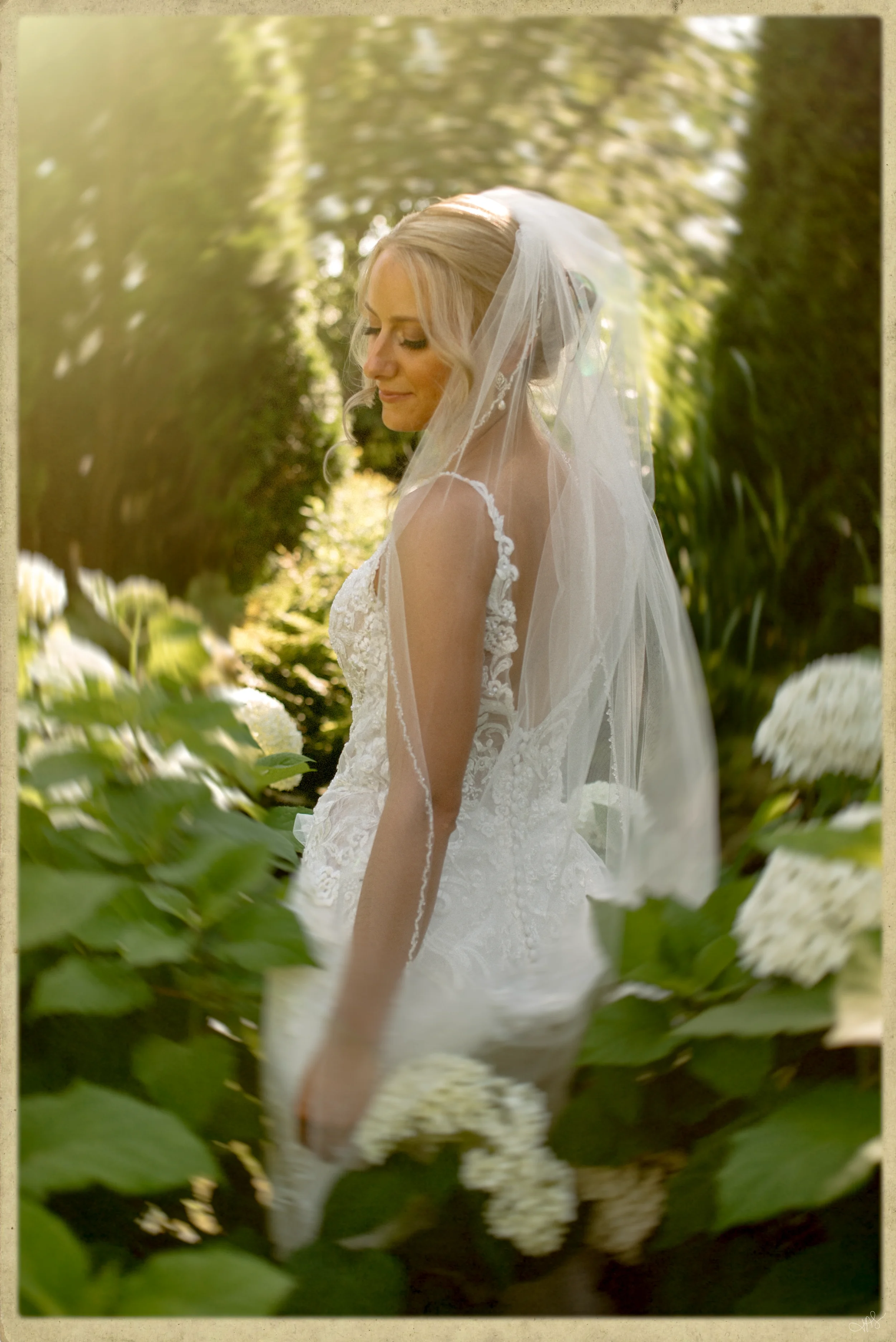 A bride with blonde hair styled in loose waves, wearing a white lace wedding gown and veil, standing outdoors among lush green foliage and white hydrangea flowers, with sunlight filtering through trees.