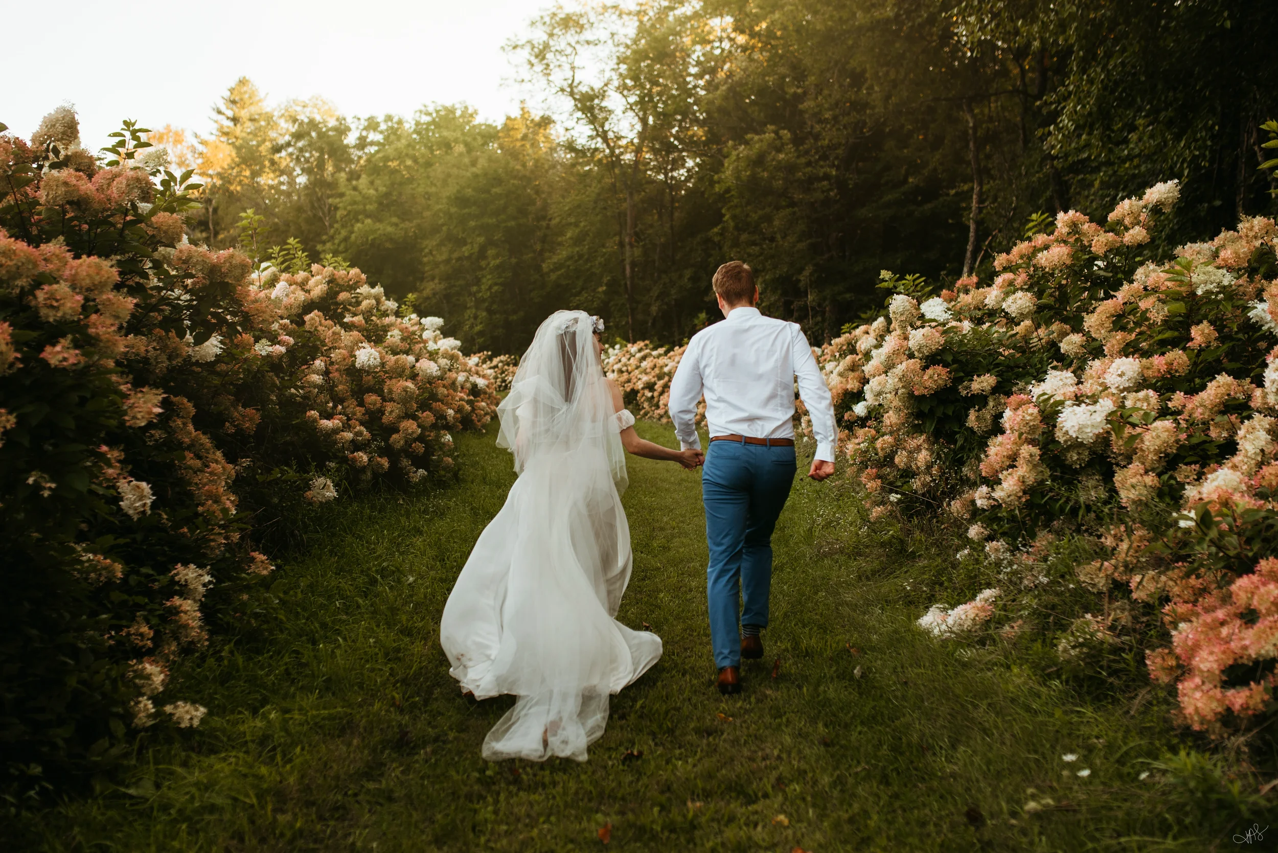 A bride and groom walking hand in hand through a garden path lined with pink and white blossoming bushes, with trees and sunlight in the background.