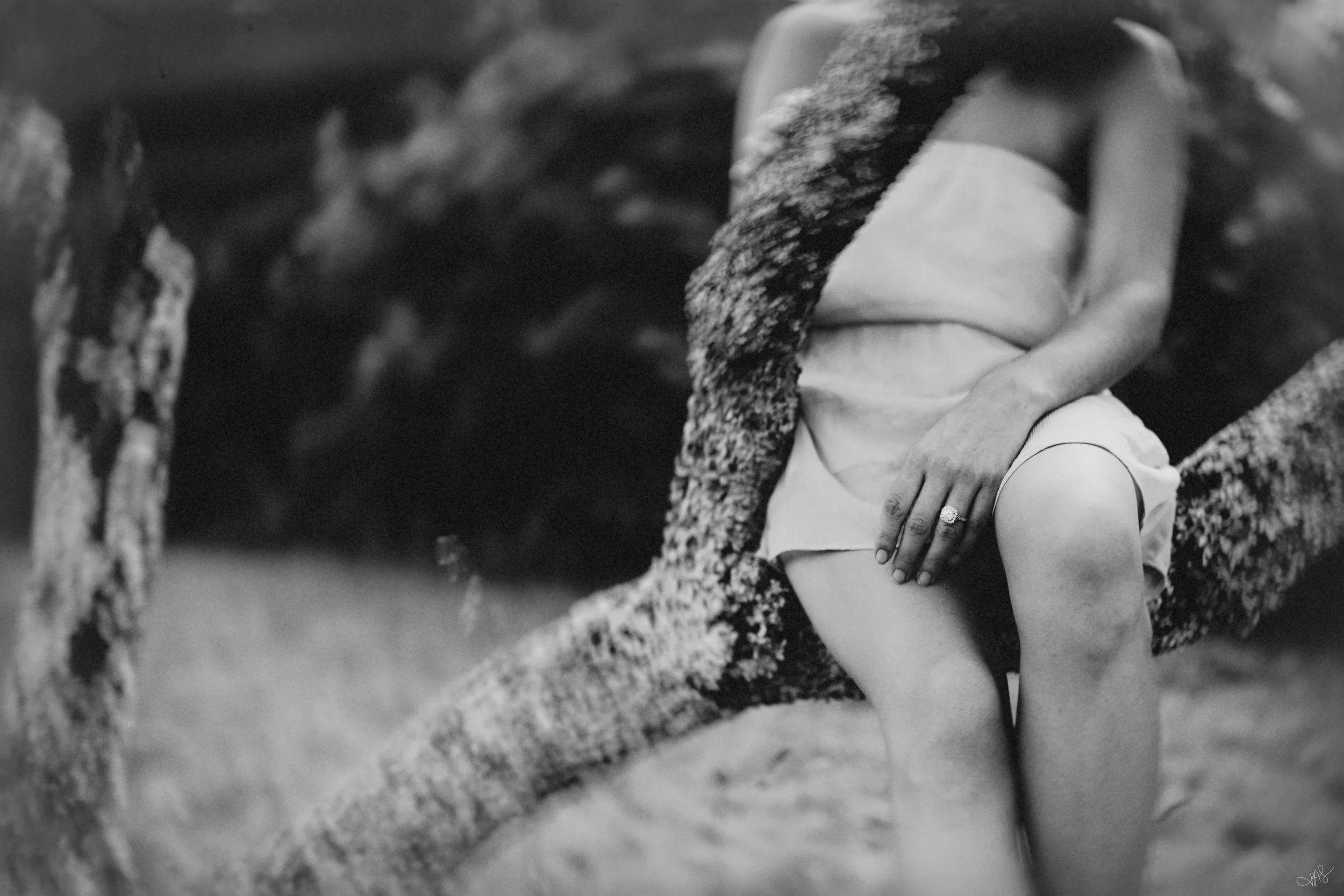 Jess & Bill Engagement_Lexington, VA_Photo by Tricia Suriani-52.webp