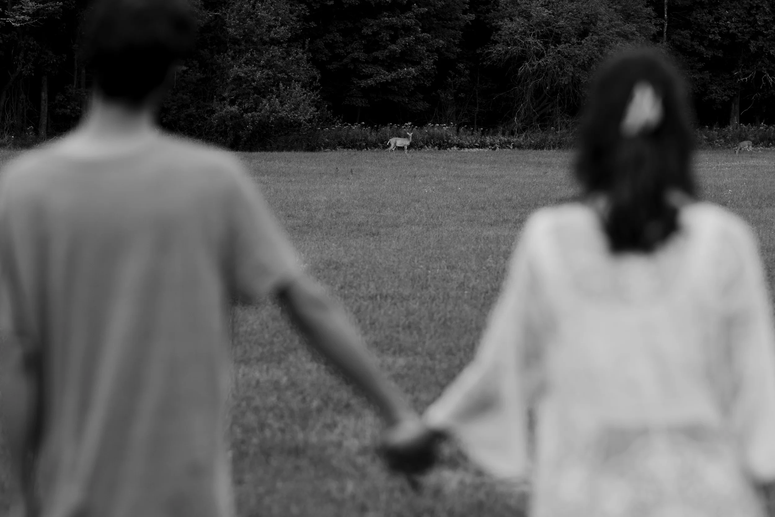 Oliva & Tom Engagement_Guilford, Vermont_Photo by Tricia Suriani-43.webp