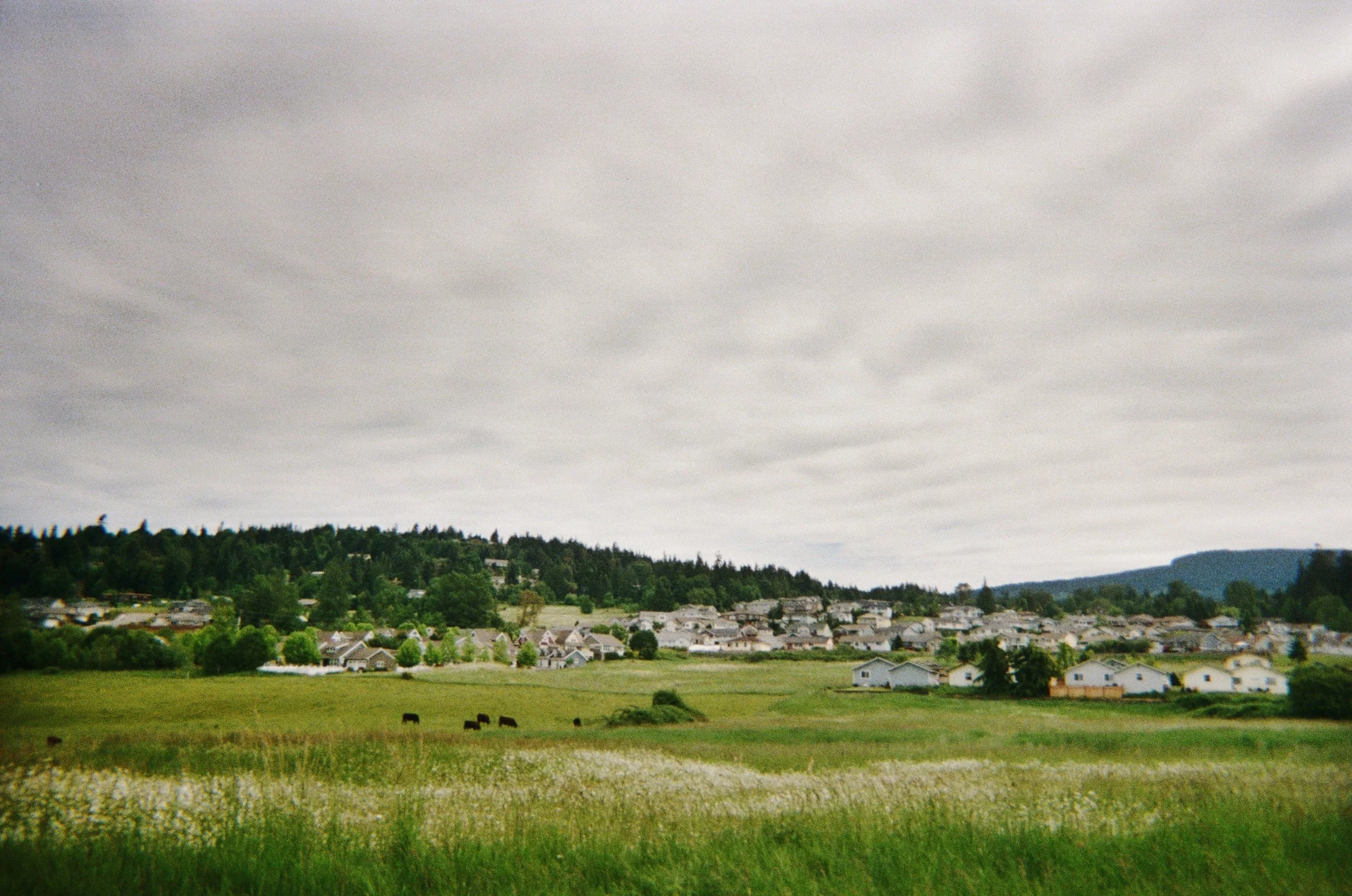 AfterlightImage (1).jpg