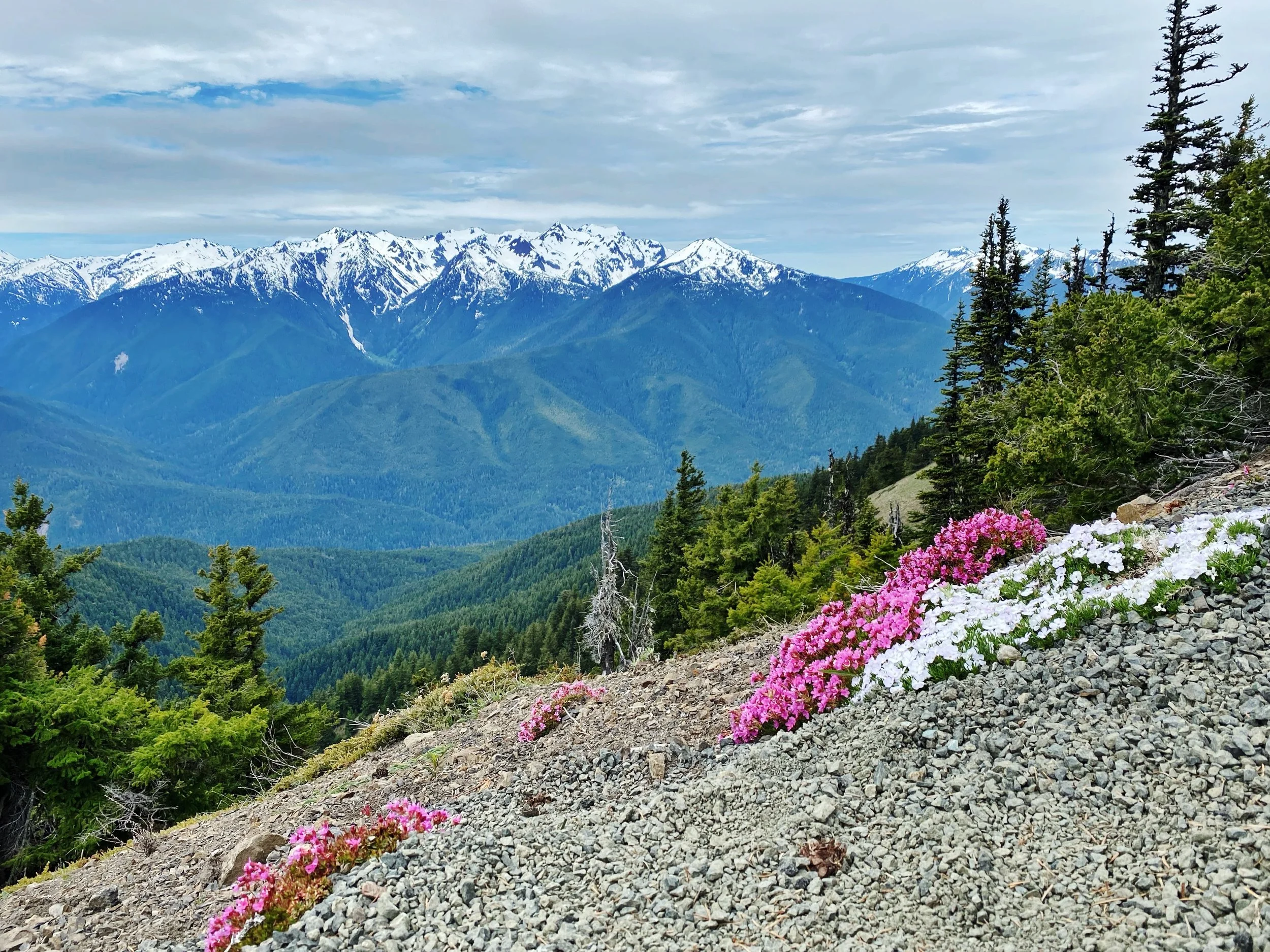 AfterlightImage 4.jpg