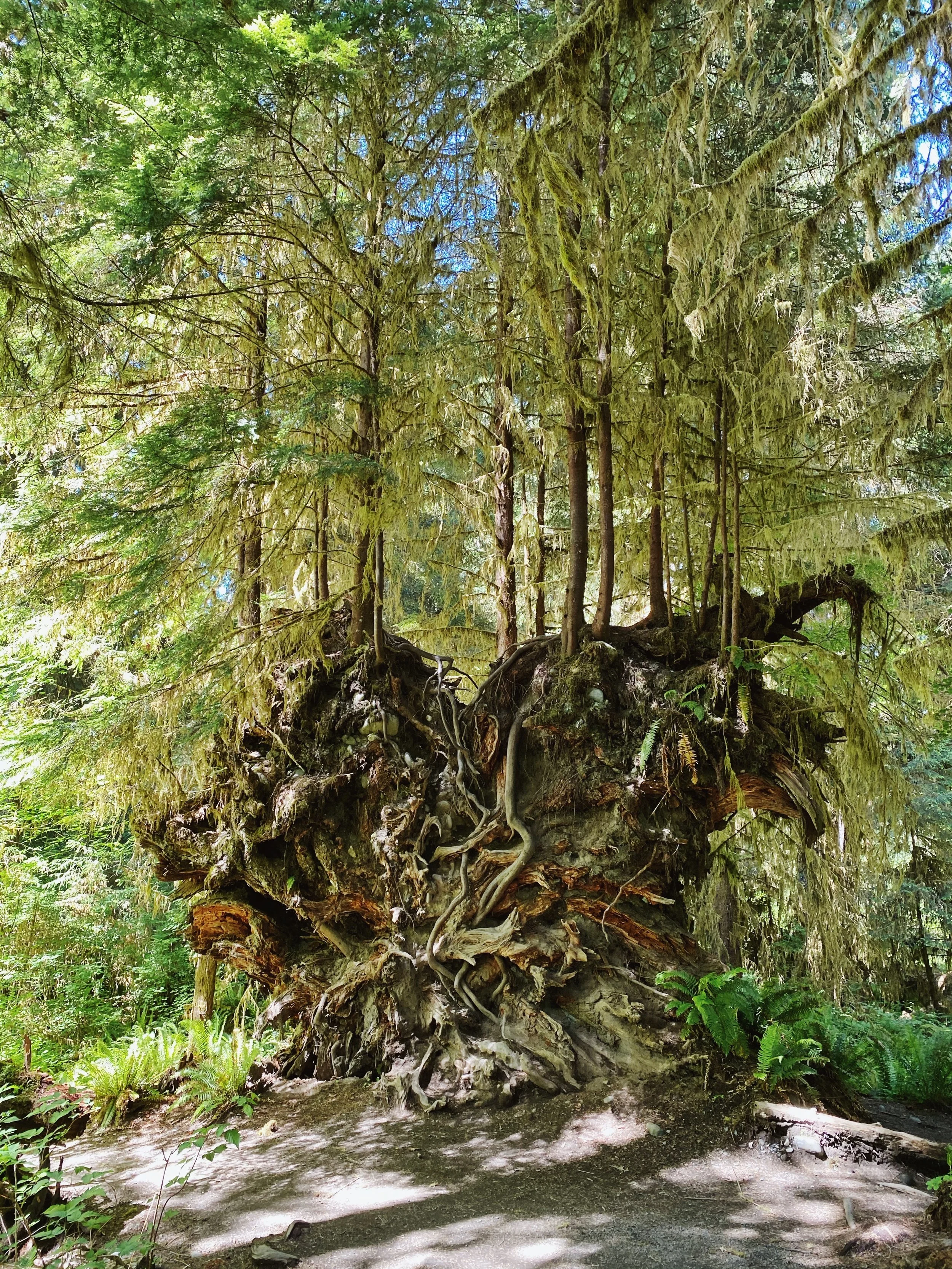 AfterlightImage 2.jpg