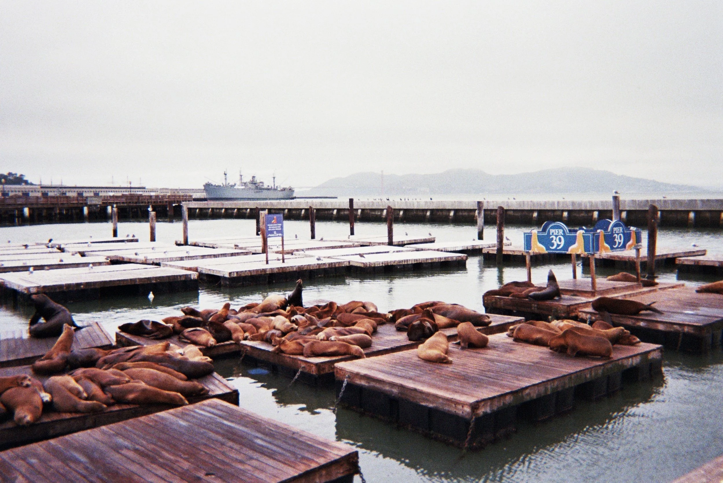 AfterlightImage (8).jpg