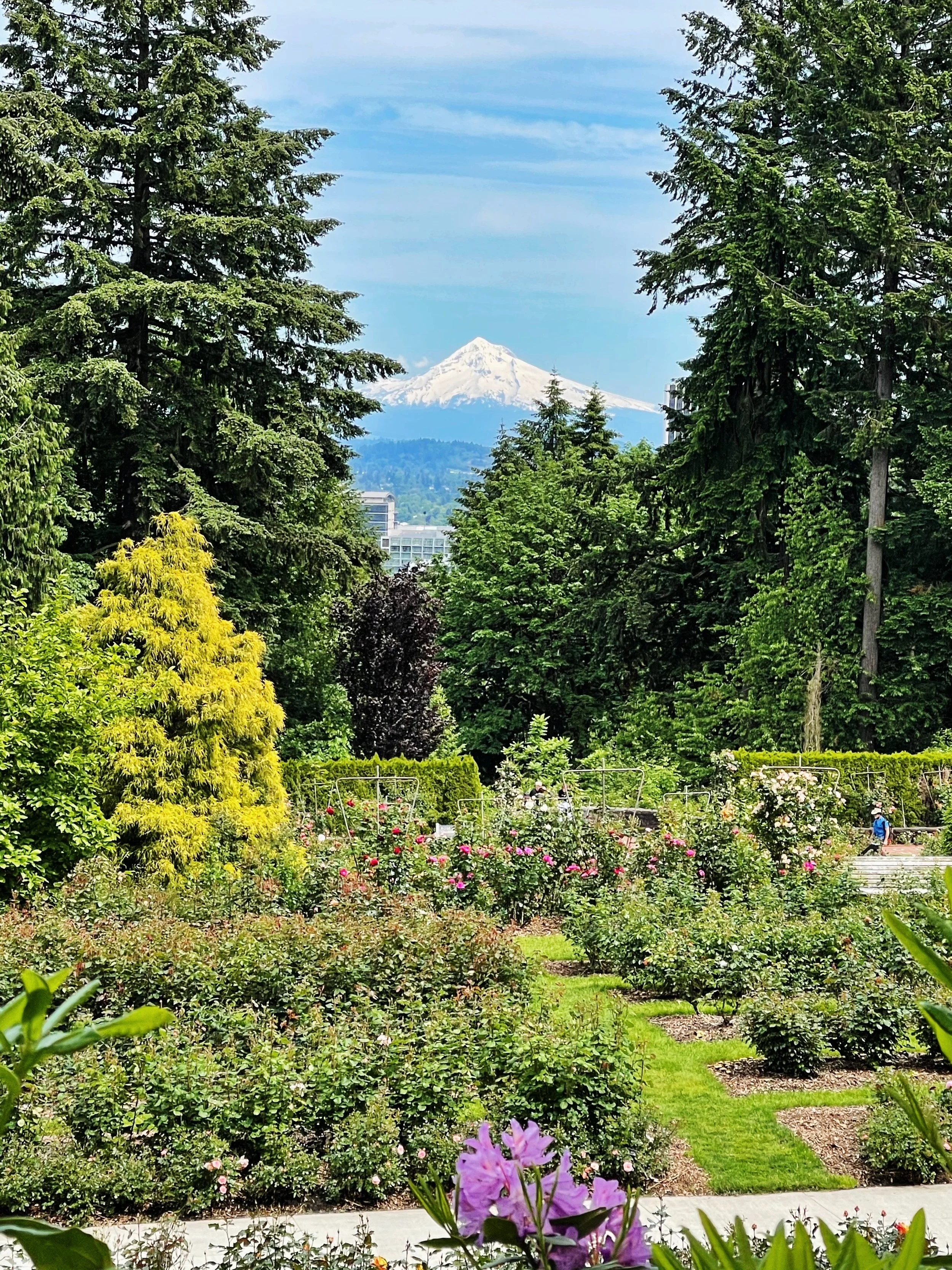 AfterlightImage 5.jpg