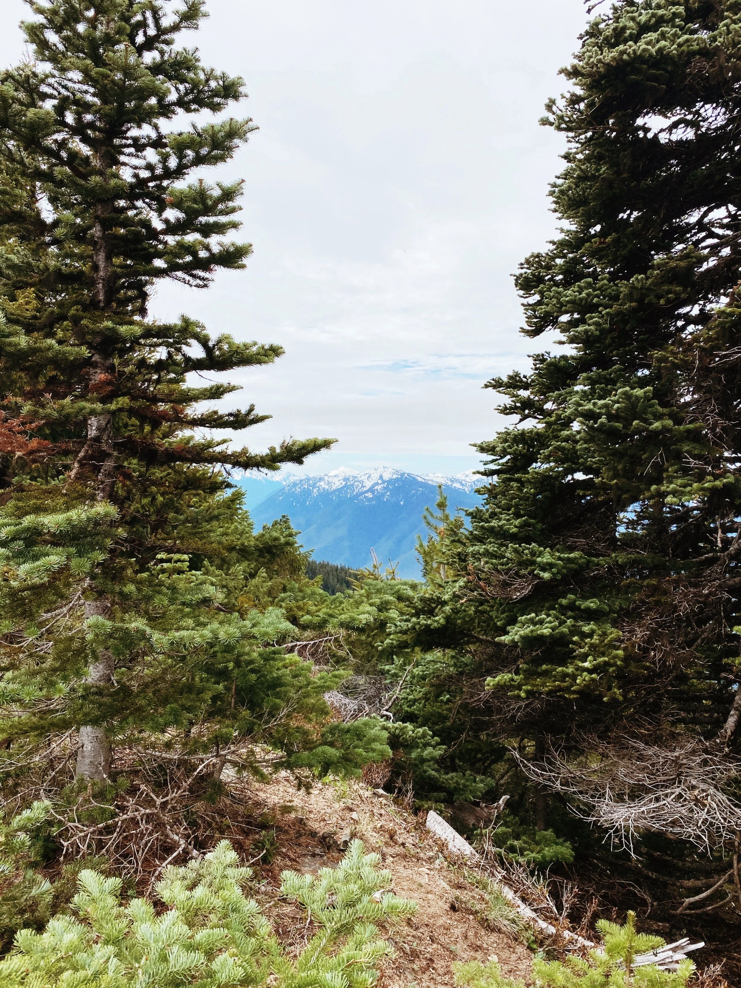 AfterlightImage 3.jpg