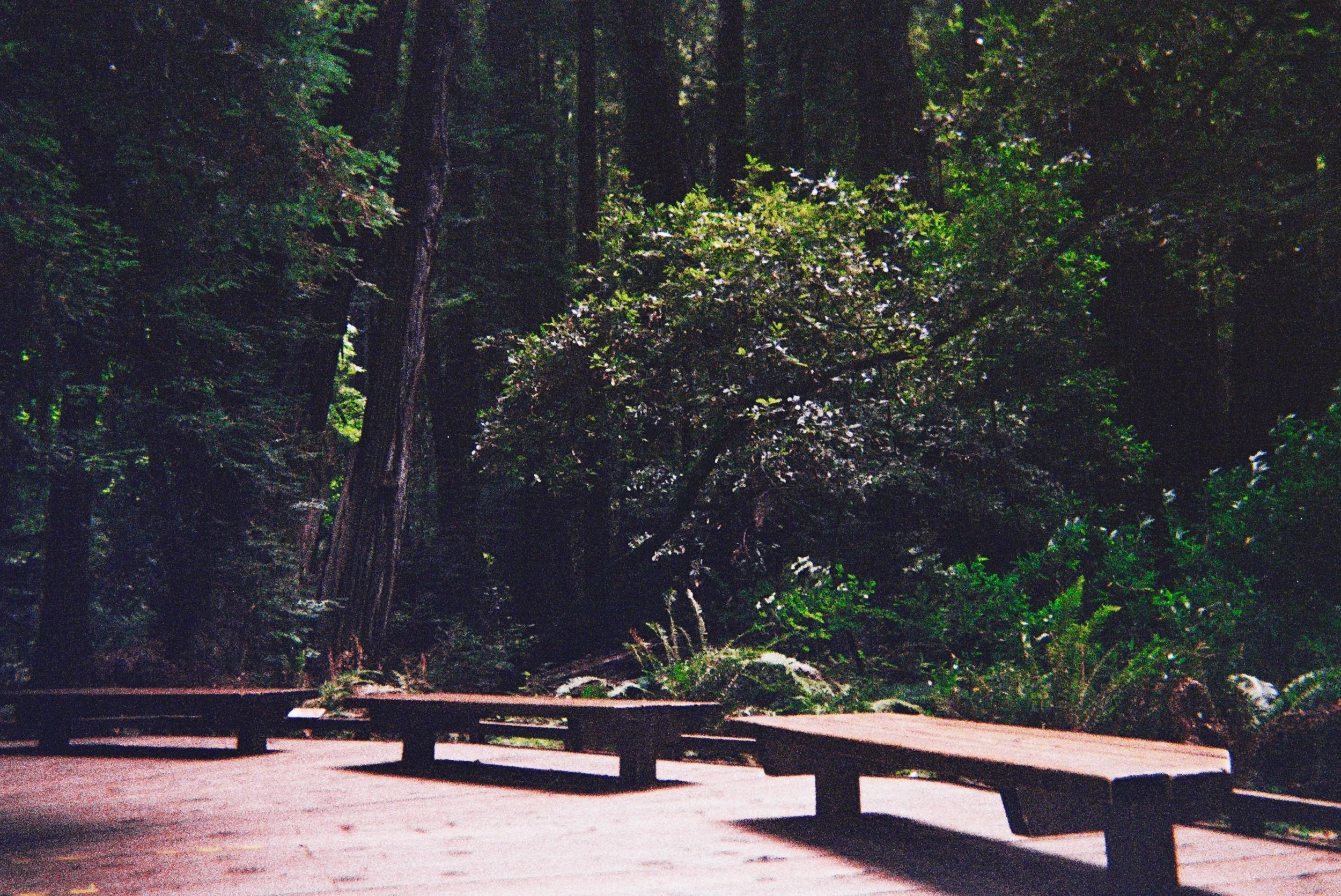 AfterlightImage (4).jpg