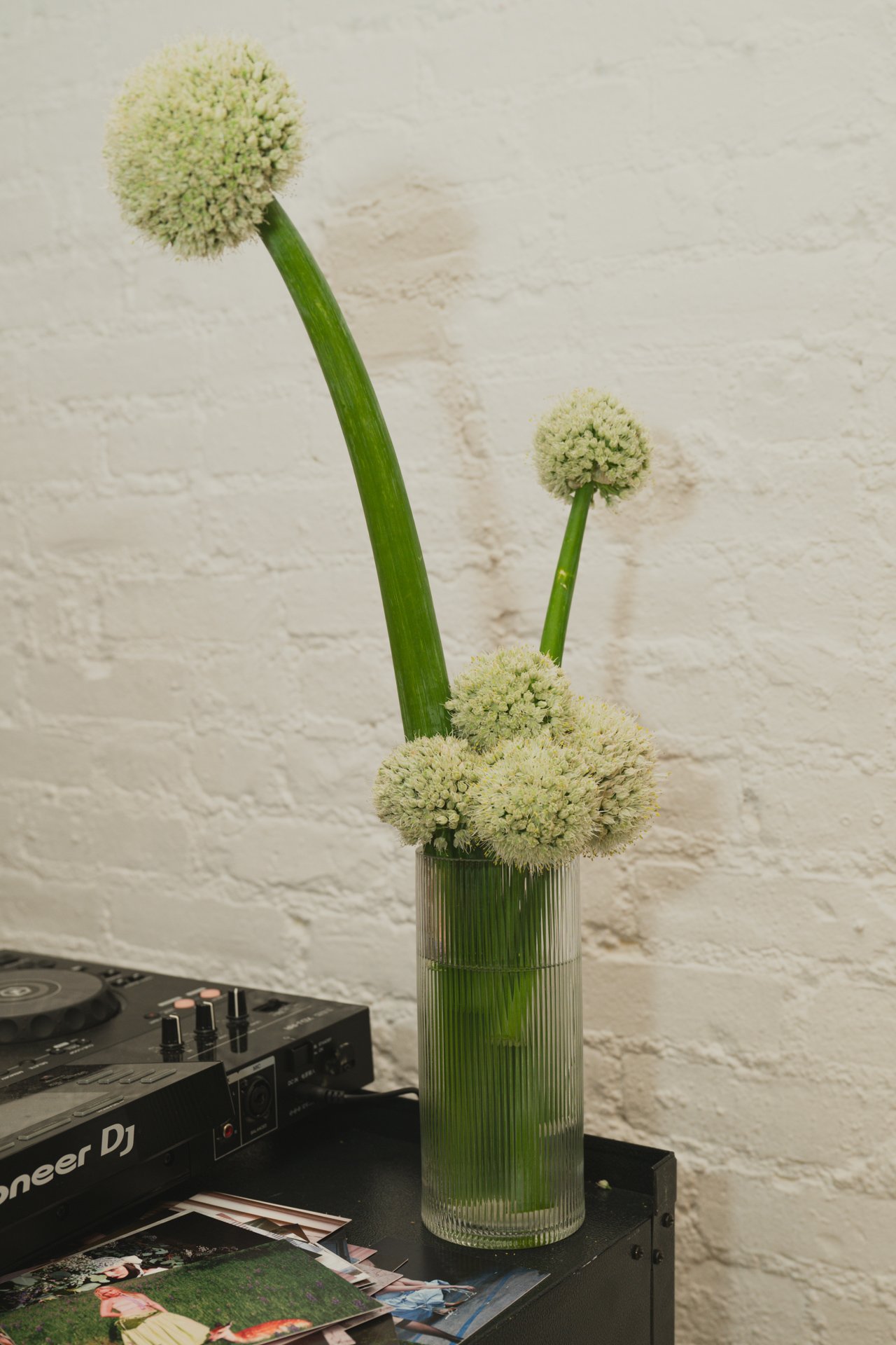 penelope_ellamae_popup_46.jpg