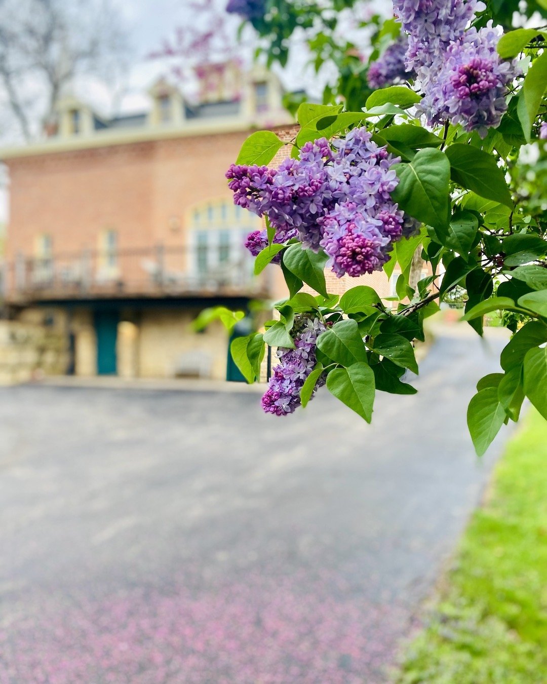 SPRING!

Come see for yourself. Take advantage of our Spring Special rates on stays through May 30. Link in bio.

.
.
.

 #feltmanor #airbnb #airbnbsuperhost #getaway #gettogalena #galenaillinois #GalenaCountry