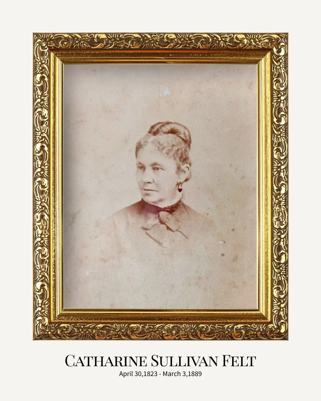 Happy 203rd birthday, Catharine! 

Catharine E Sullivan was born on this day in 1823 in the state of New York. She married Lucius S Felt in 1845, and they traveled west to Galena, Illinois where they raised their family in the home we now call Felt M