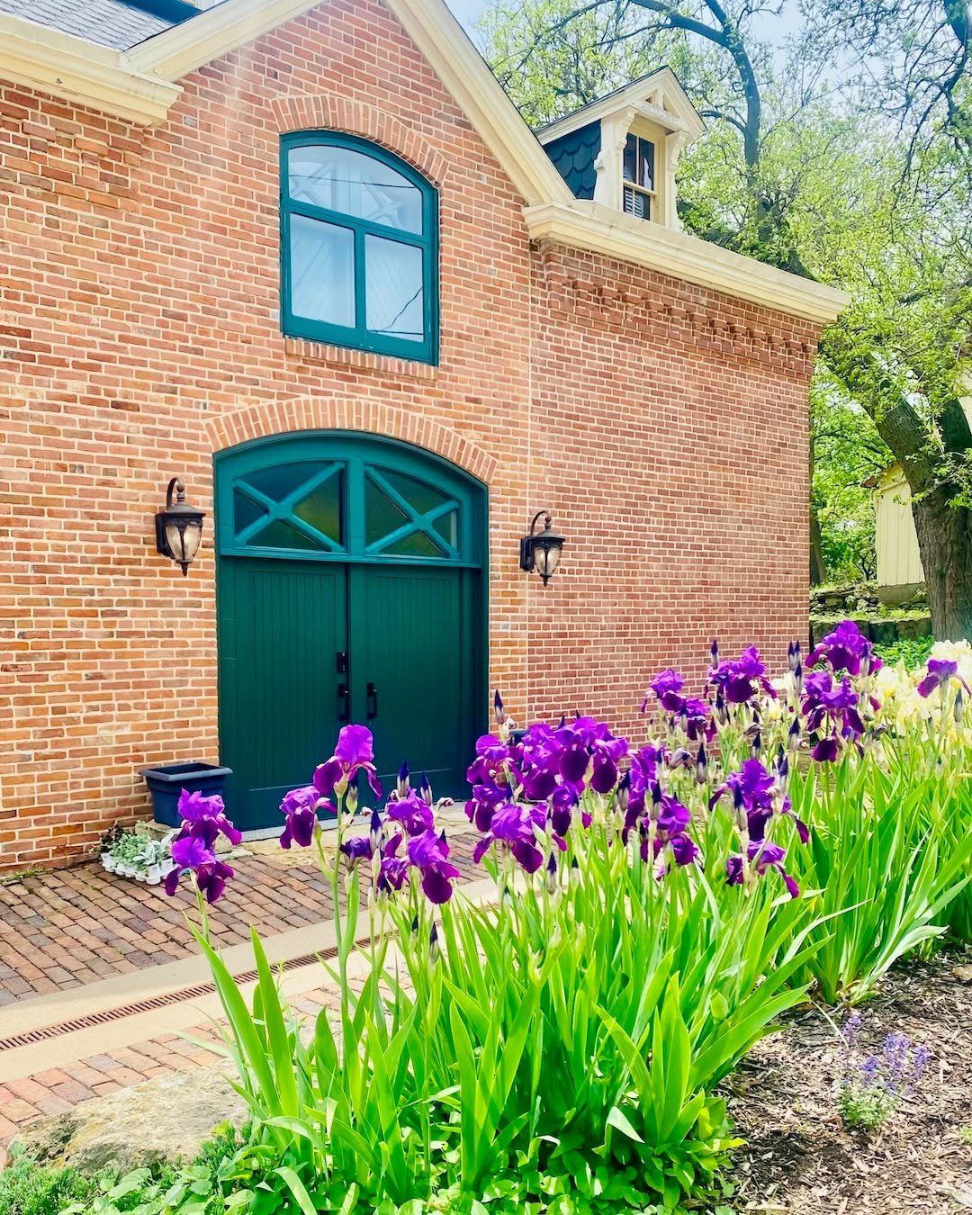 April showers bring May&hellip;irises! The irises are putting on quite a show in front of the Coach House.

According to @chicagobotanic, this lovely flower gets its name from the Greek Goddess Iris, the Goddess of the Rainbow. This golden-winged god