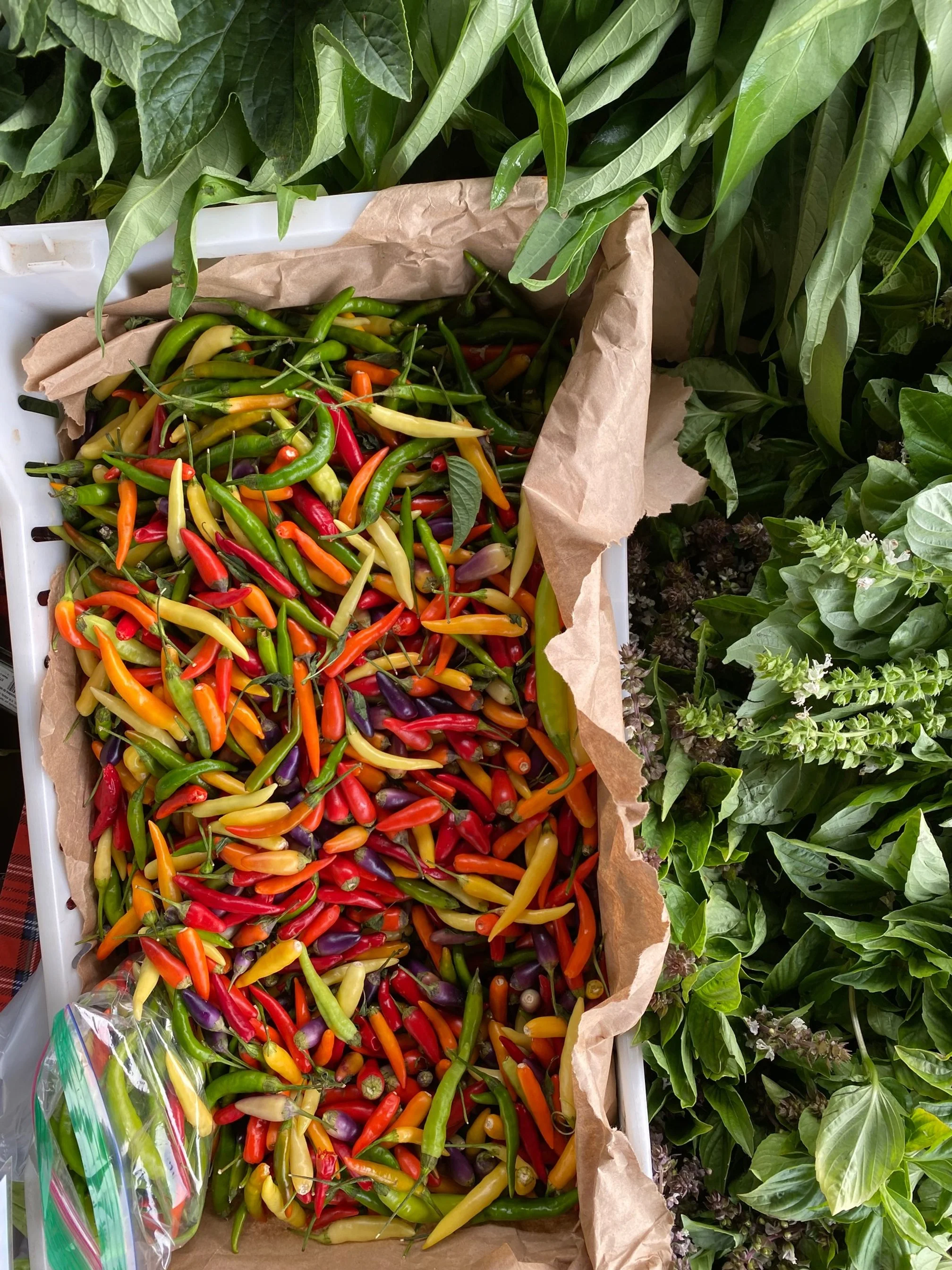 West Oakland Farmers Market
