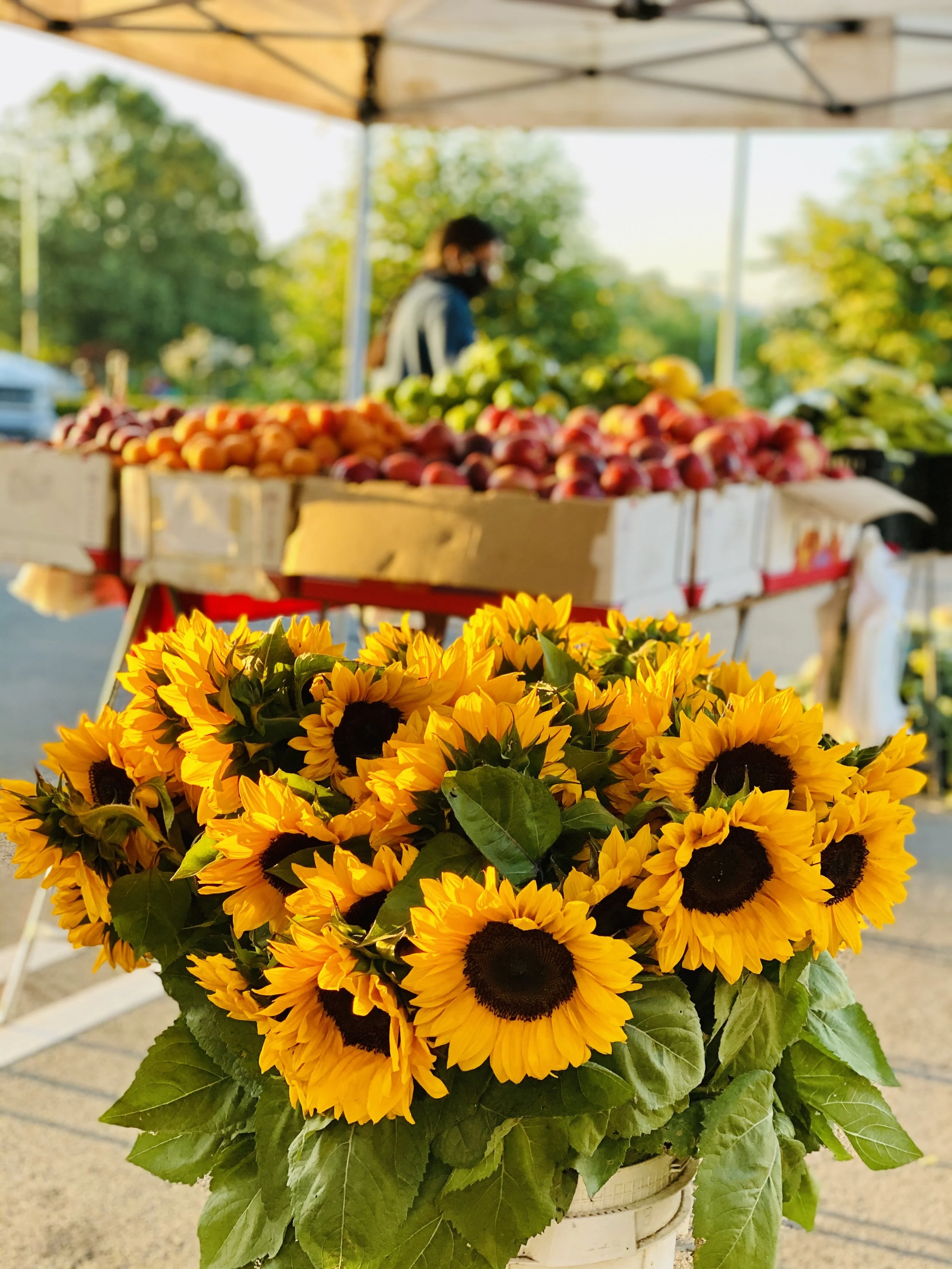 West Oakland Farmers Market