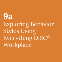 Exploring Behavior Styles Using DiSC Workplace