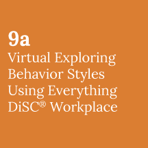 Virtual Exploring Behavior Styles Using DiSC Workplace