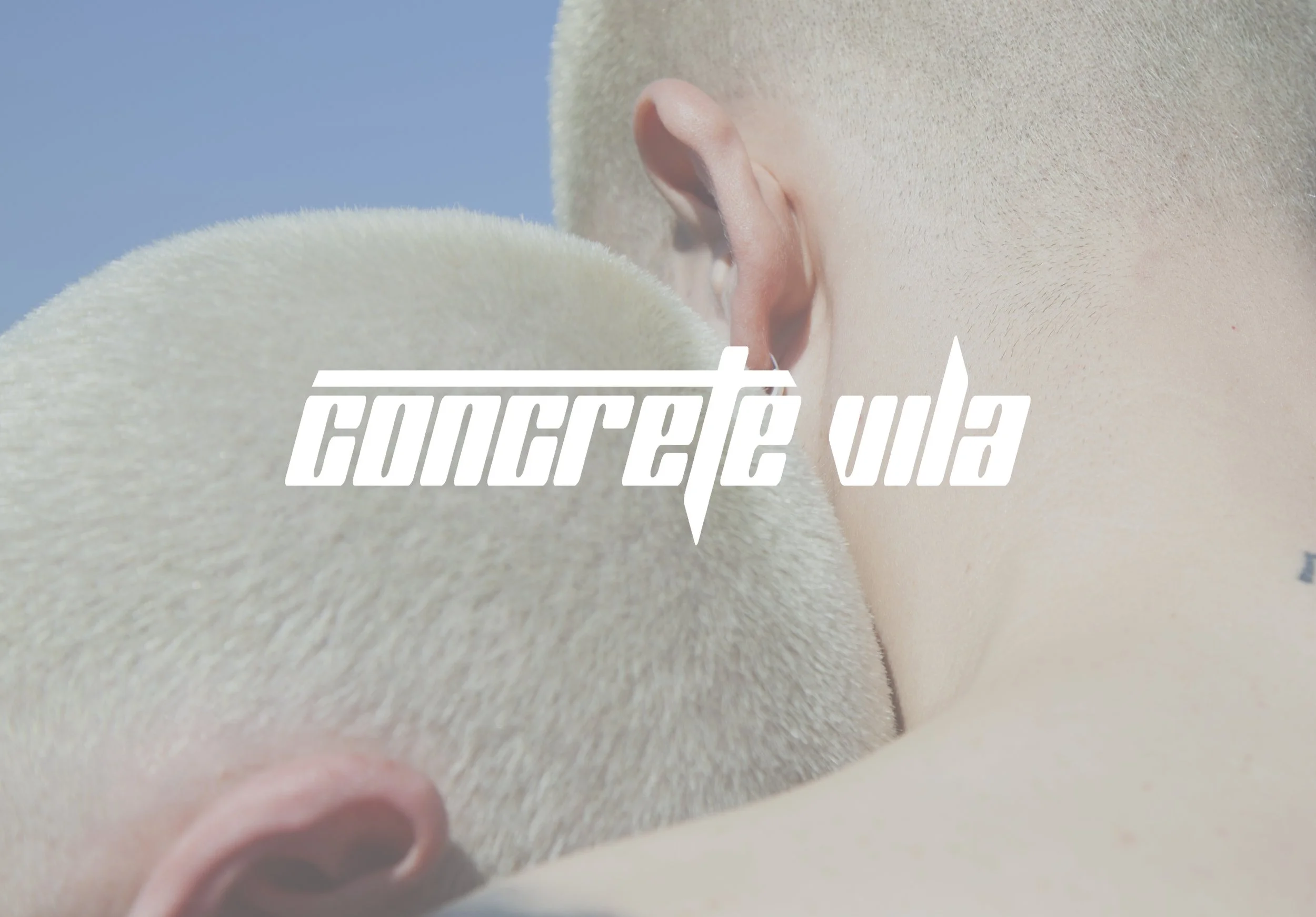 Visual Page Concrete Vila