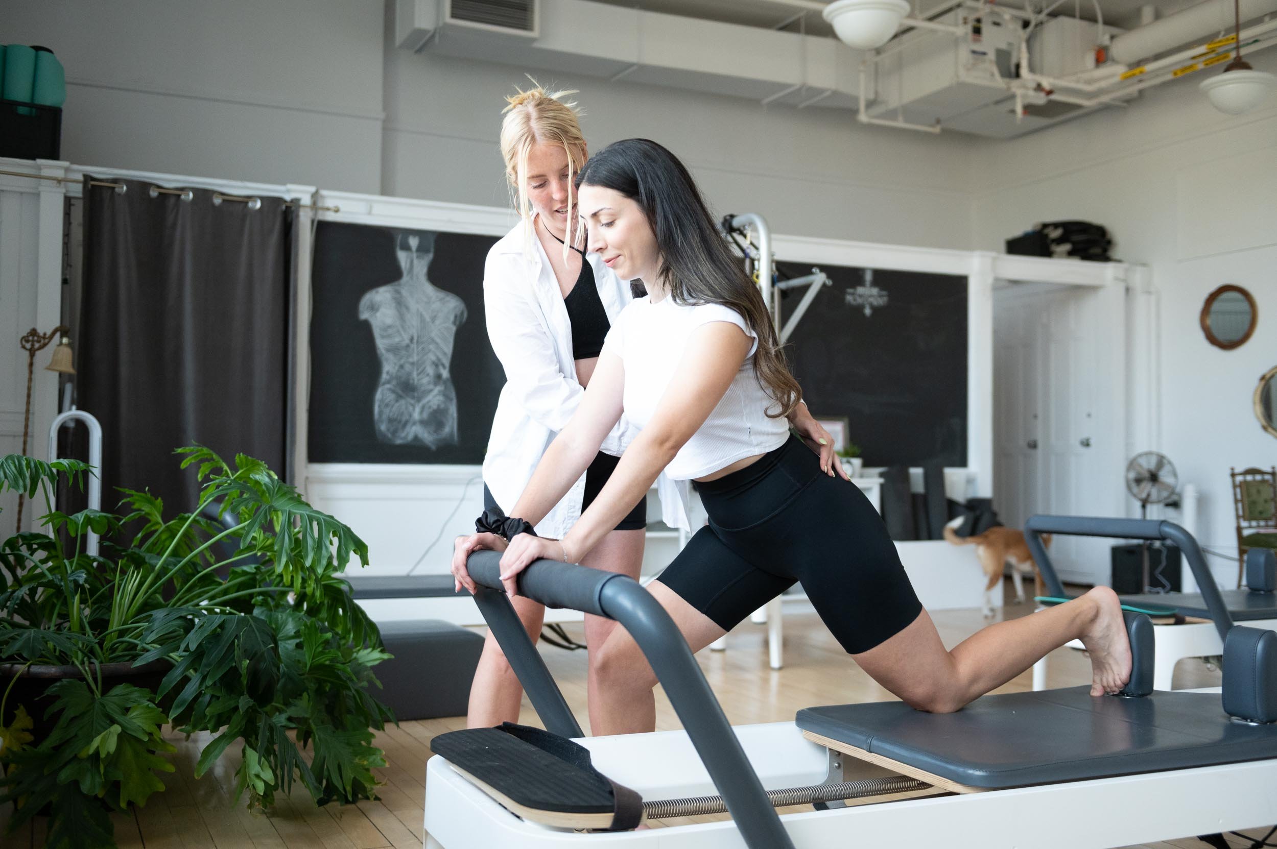How Pilates Teacher Training Changed My Life… — Muse Movement Studio