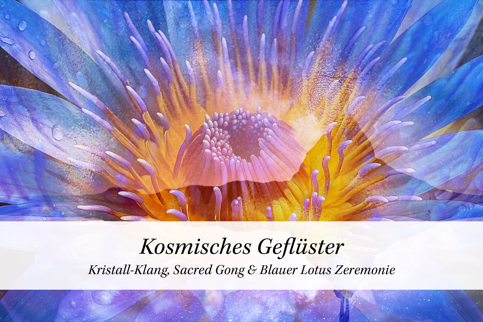 03. März 2026 | Kristall-Klang, Sacred Gong & Blauer Lotus Zeremonie | Kosmisches Geflüster