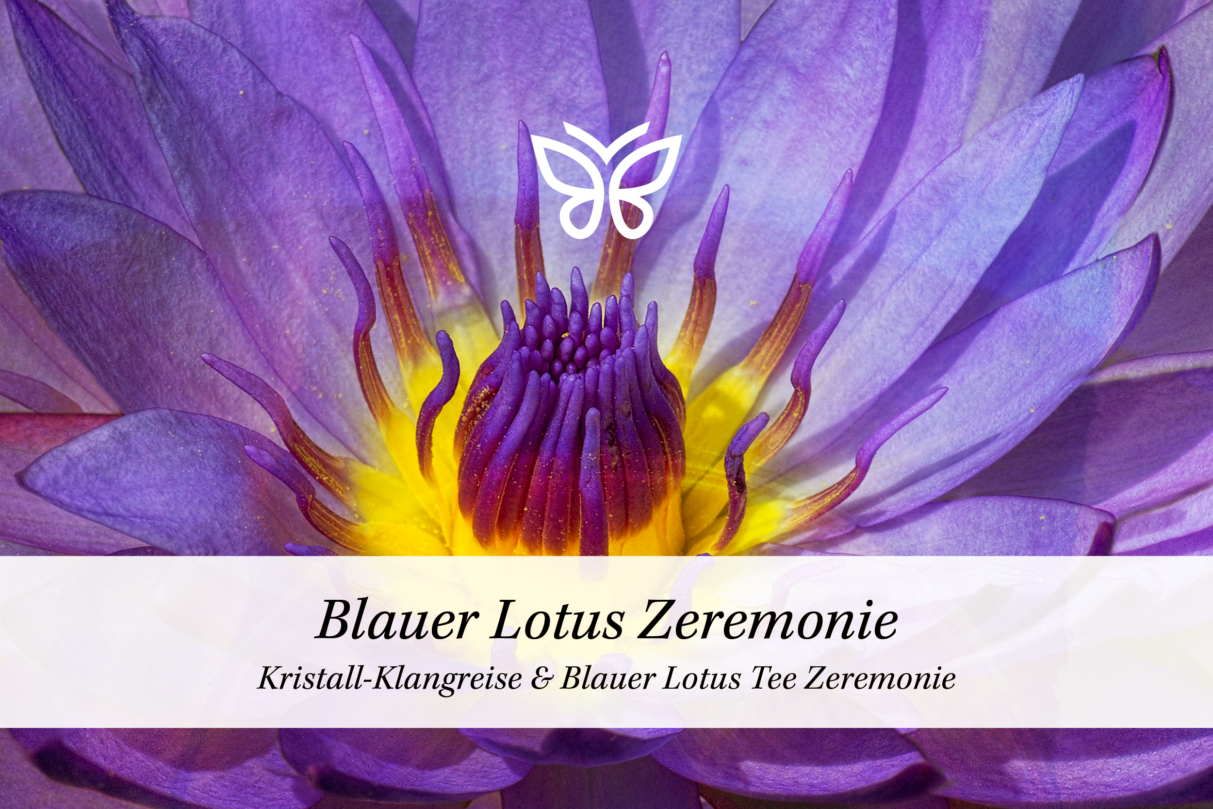 Daniela Gellner | Sound-Healing Zeremonien | Blauer Lotus Zeremonie