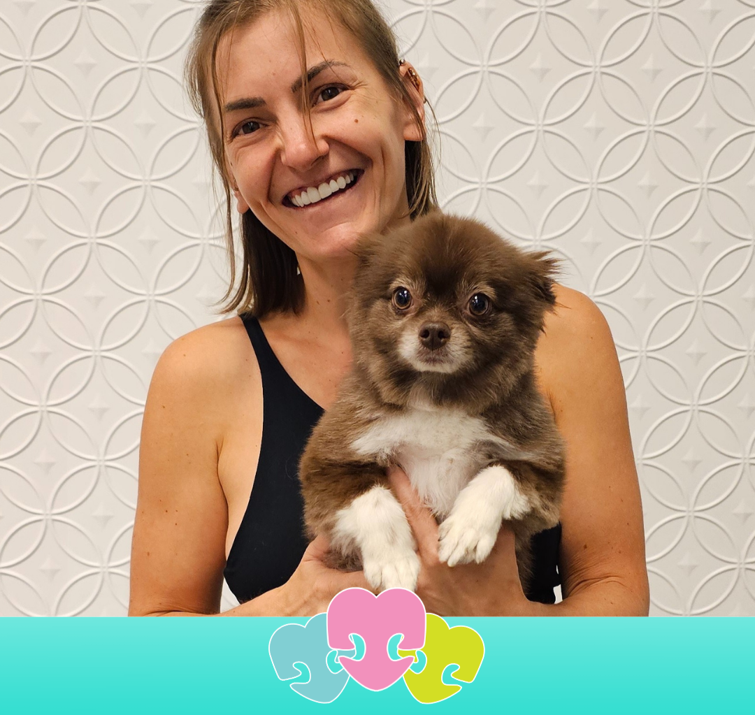 Free Senior Dog Meetup