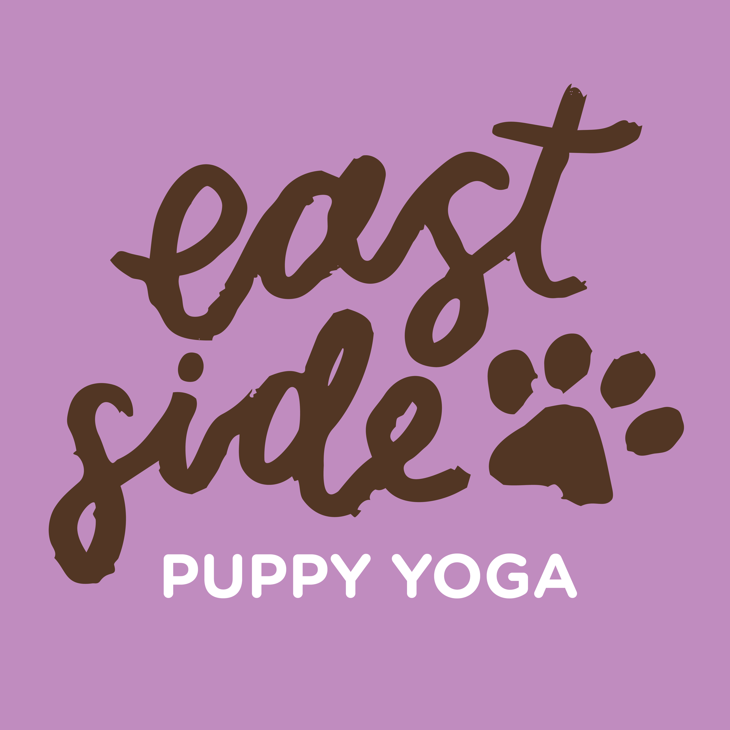 Puppy Yoga Launch Party - Issaquah FREE