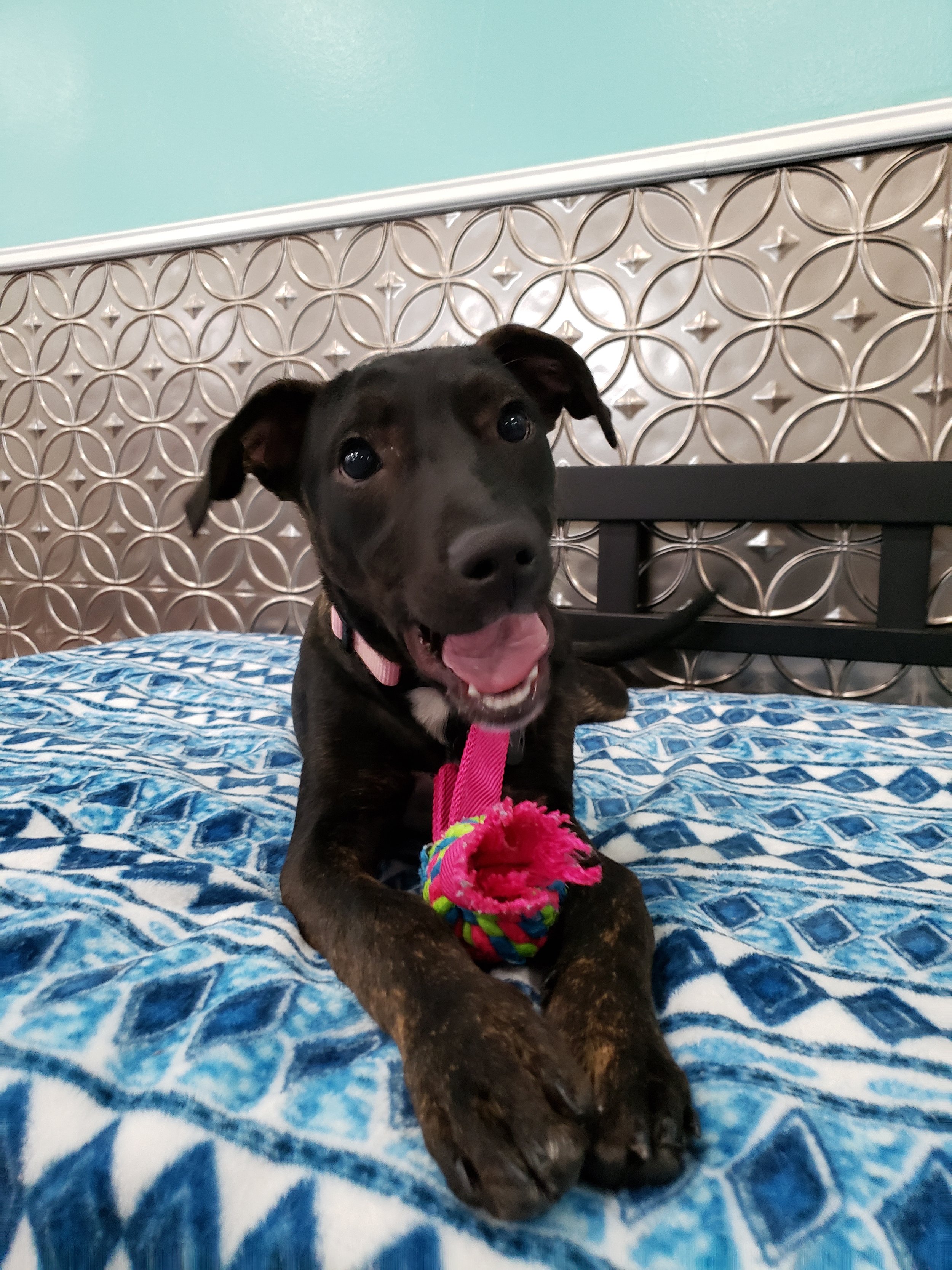 20190419_095933.jpg