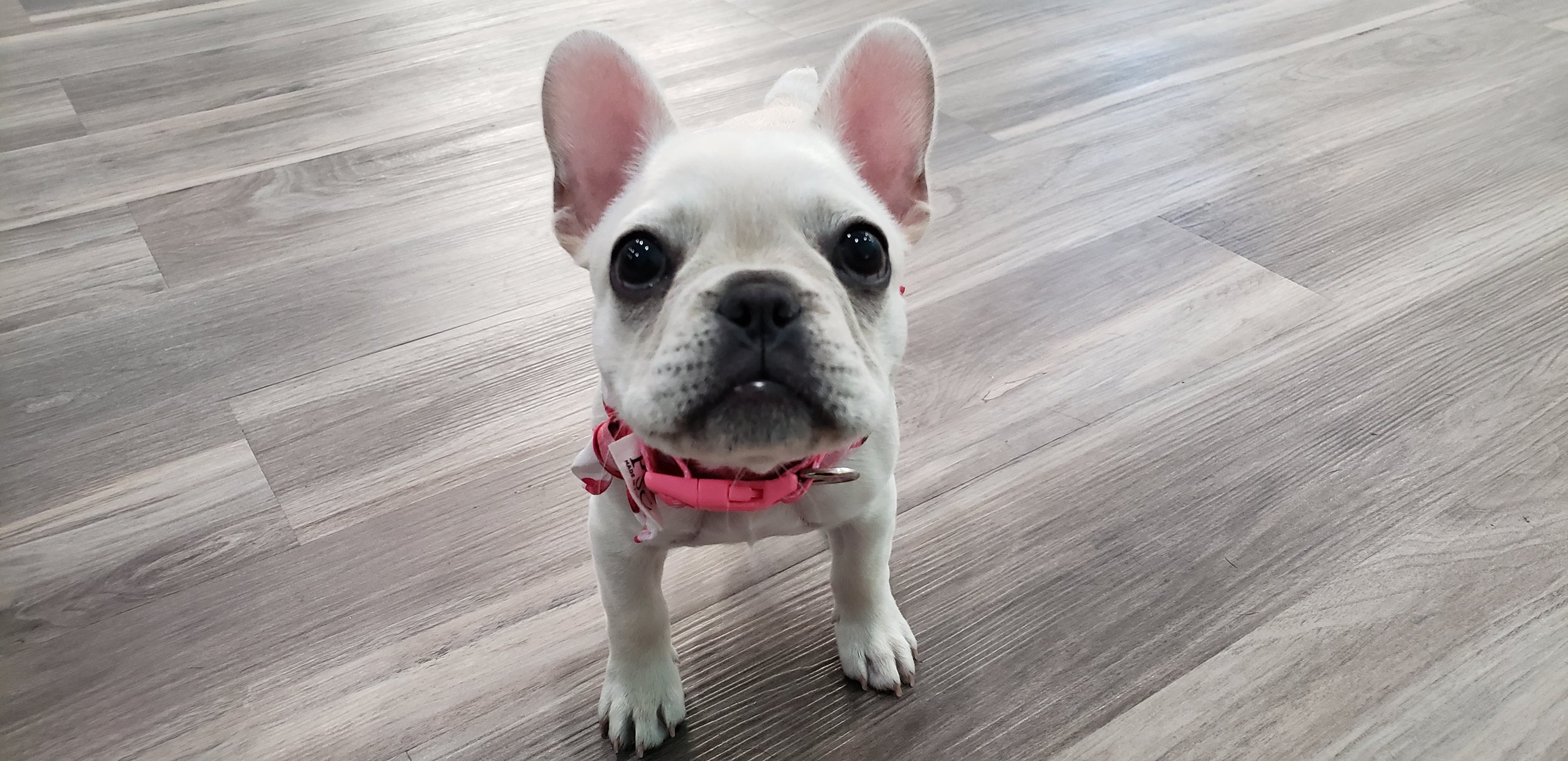 20180725_130643.jpg