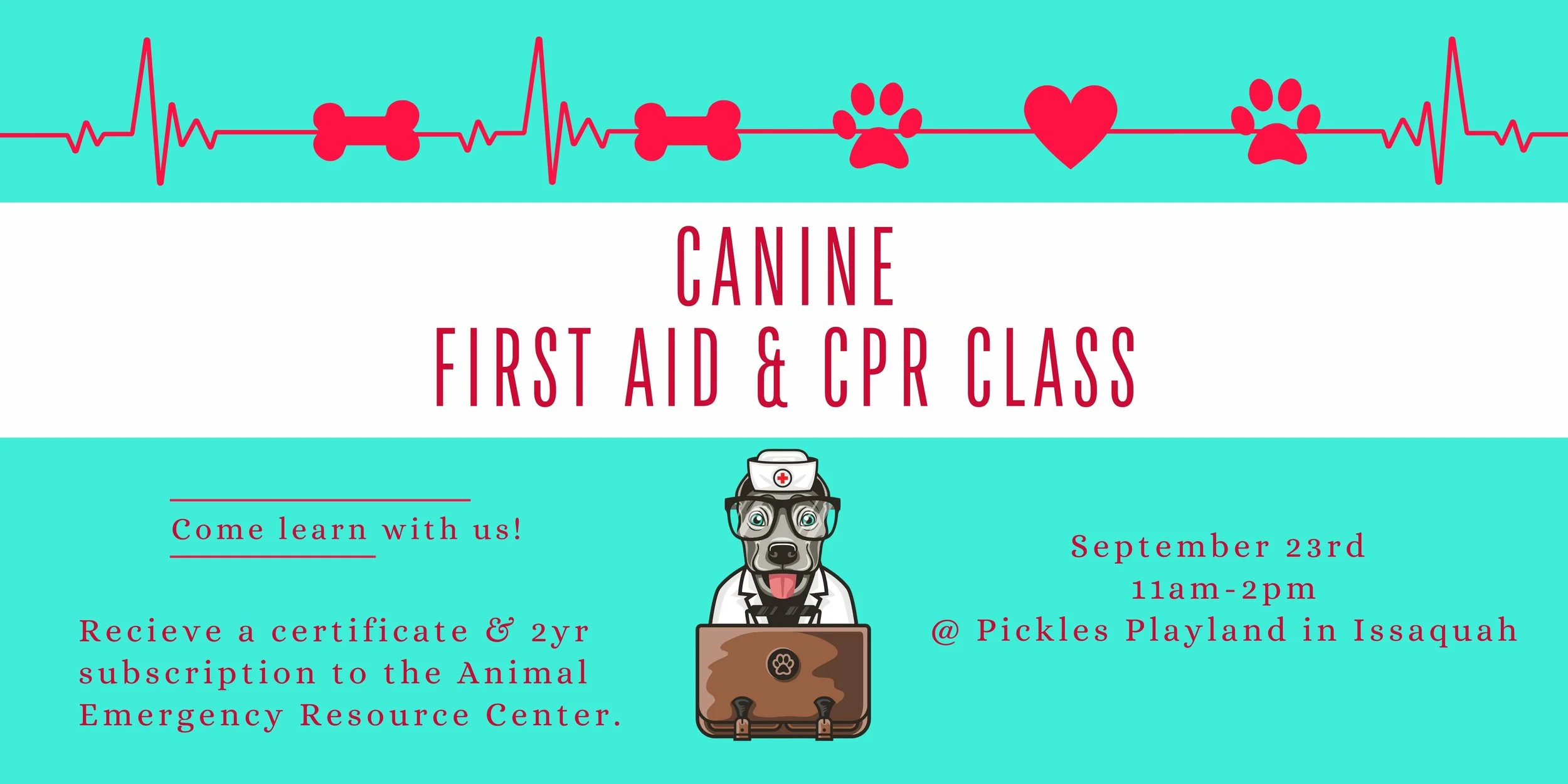 First Aid & CPR Class Open to the Public — Pickles Playland