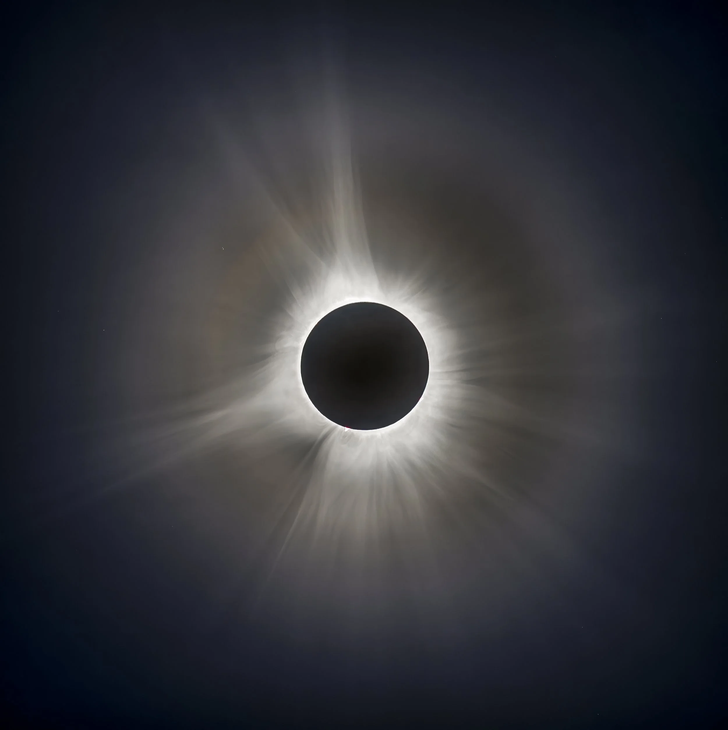 QKF_20240408_0555-Edit-Edit-Edit-Edit copy.jpg