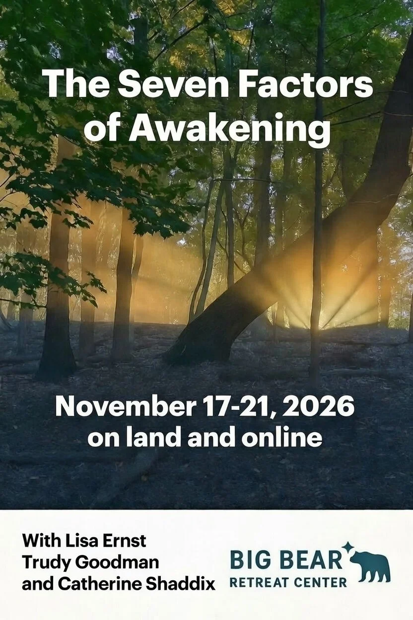 The Seven Factors of Awakening