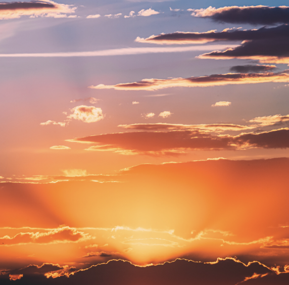 BHNN Guest Podcast – Ep. 250 – Pointing Out The Radiance with Trudy Goodman